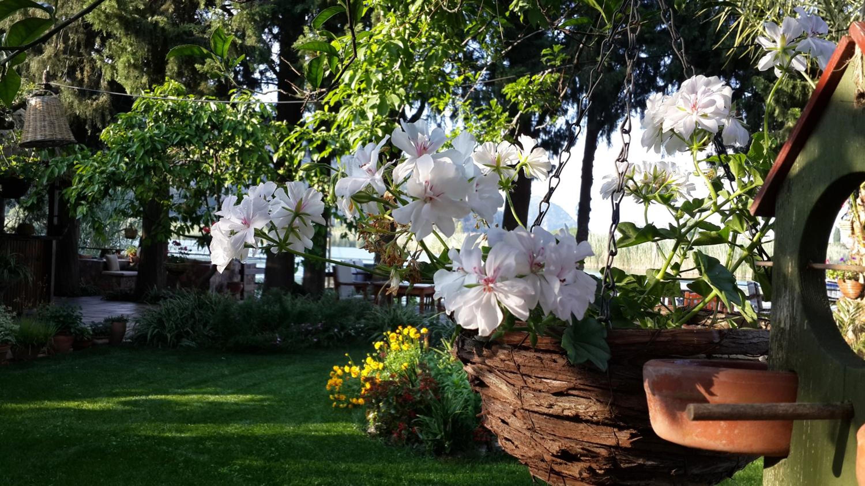 Hotel Happy Caretta