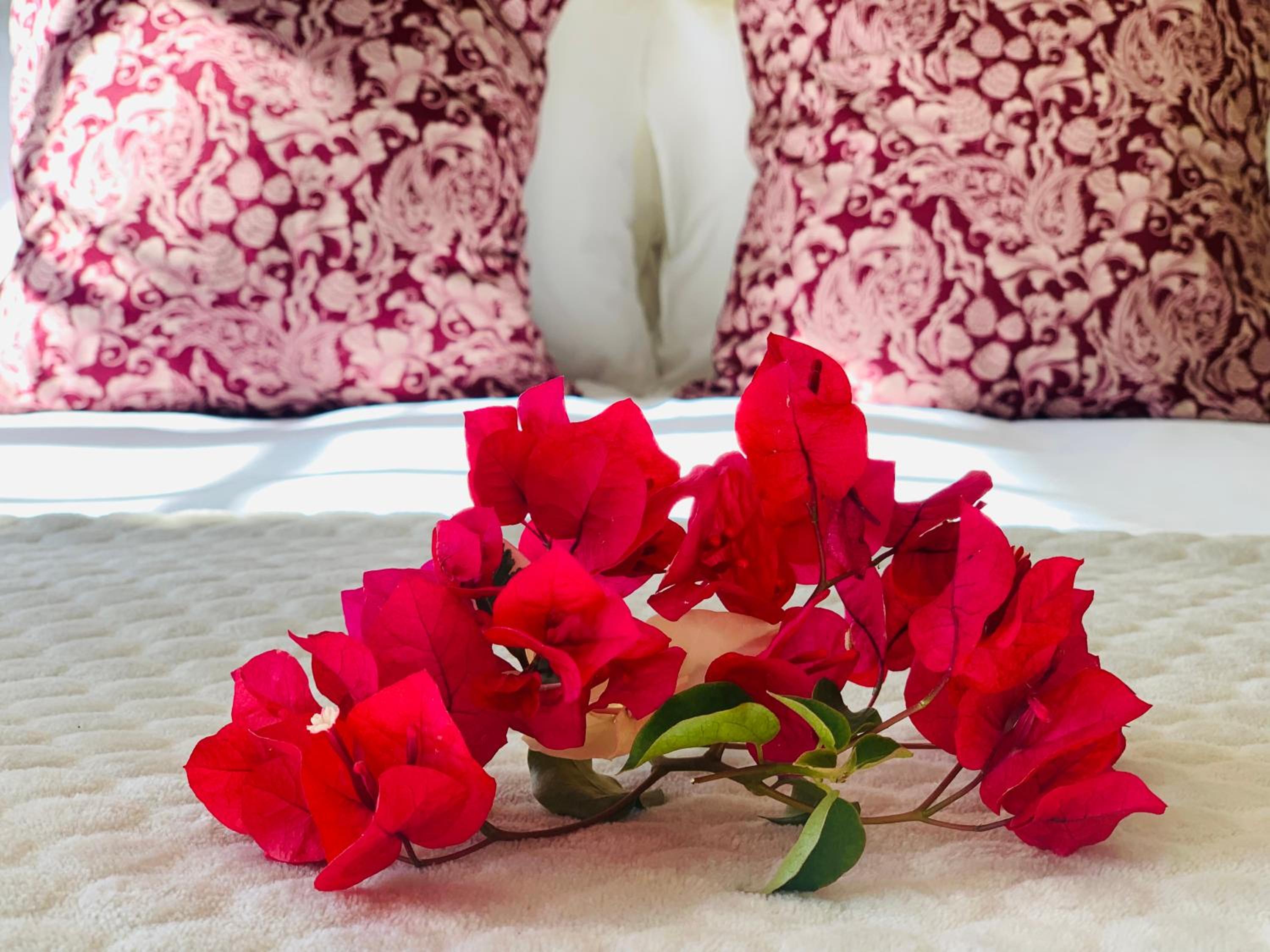 L'Bloom Country House