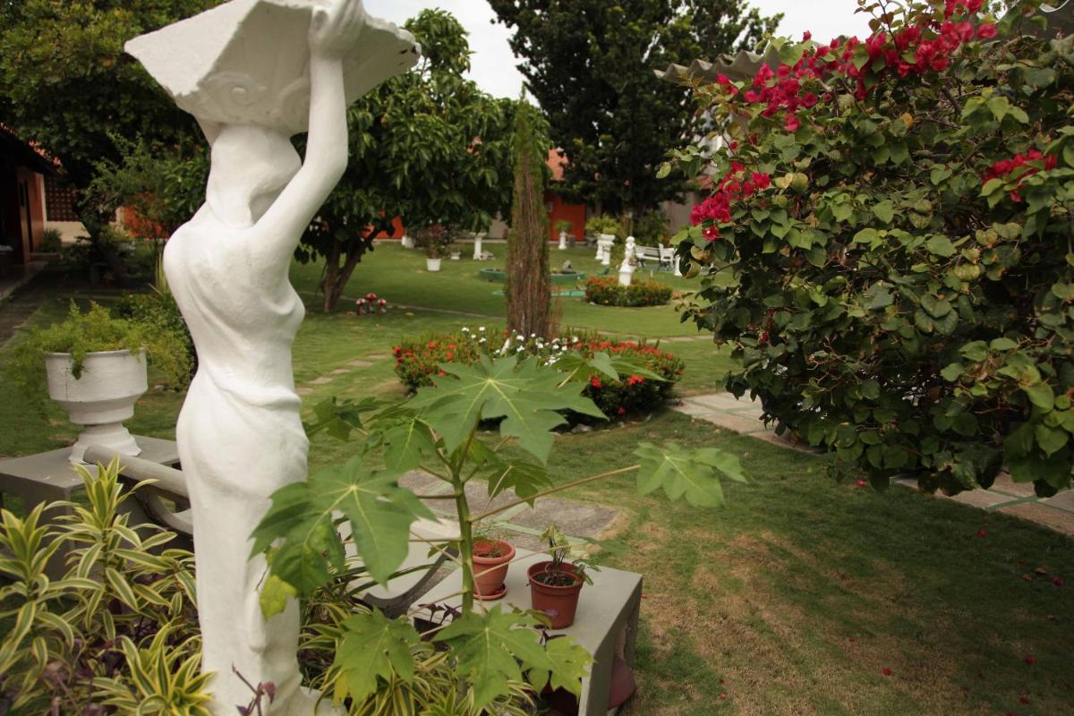 garden
