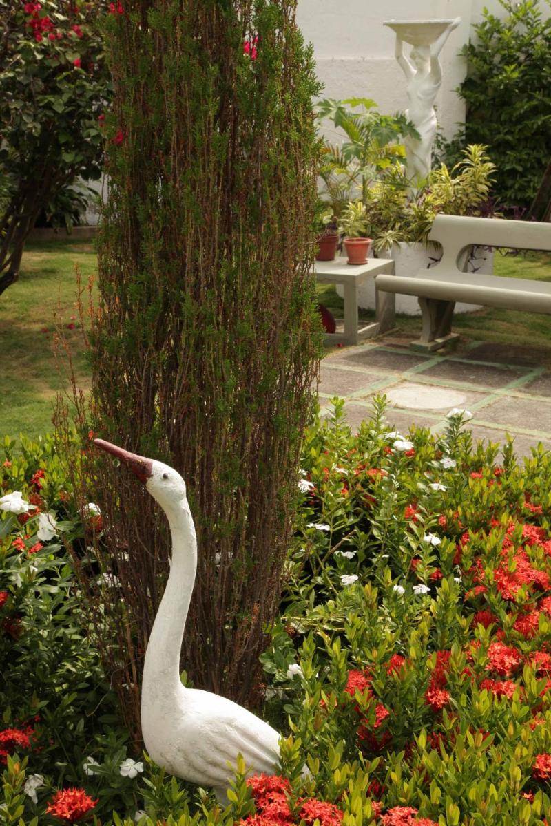garden