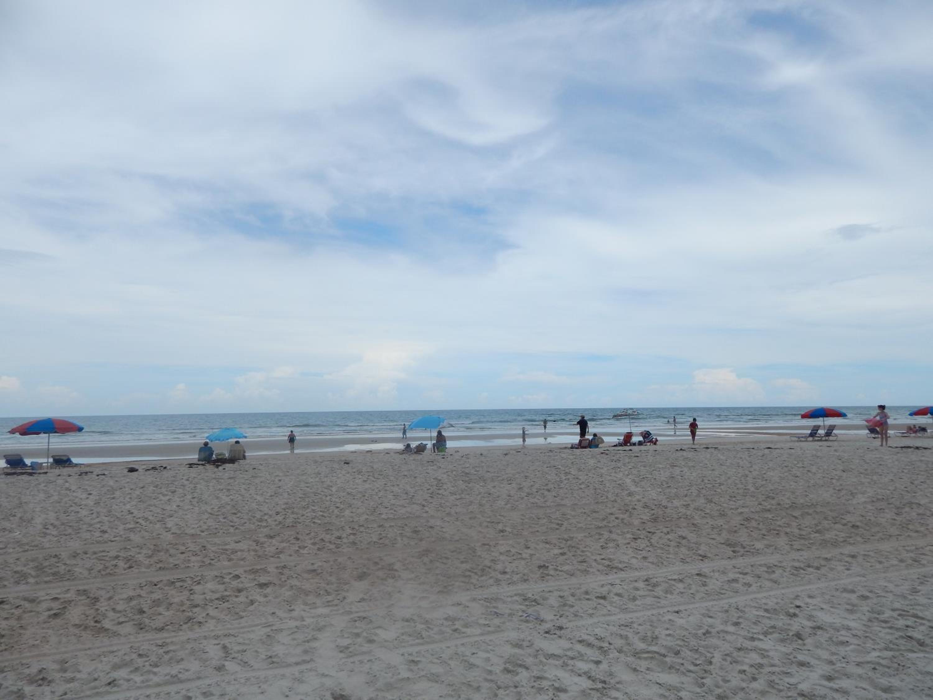 Oceanview Studio
