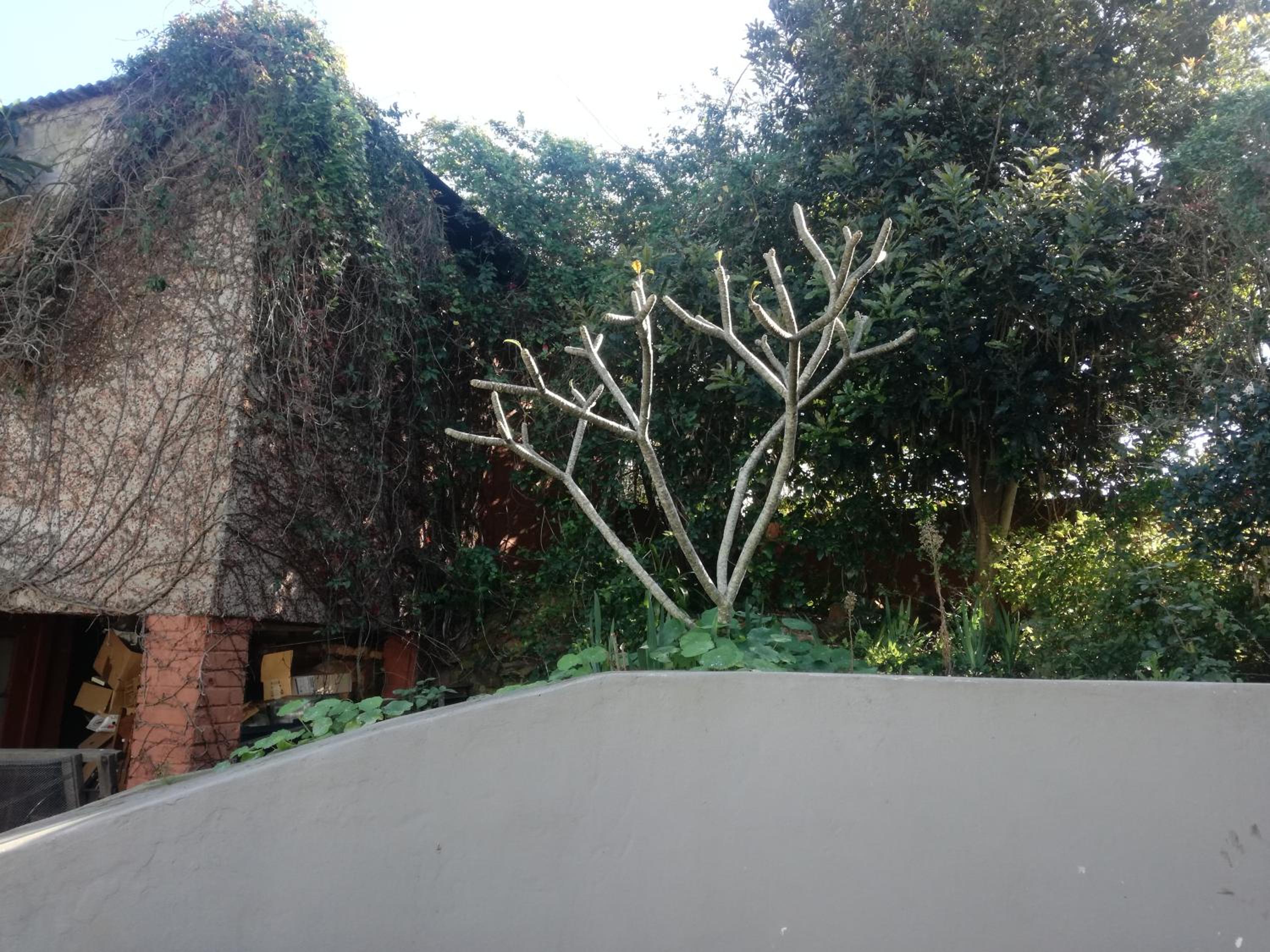 Valley Guest House