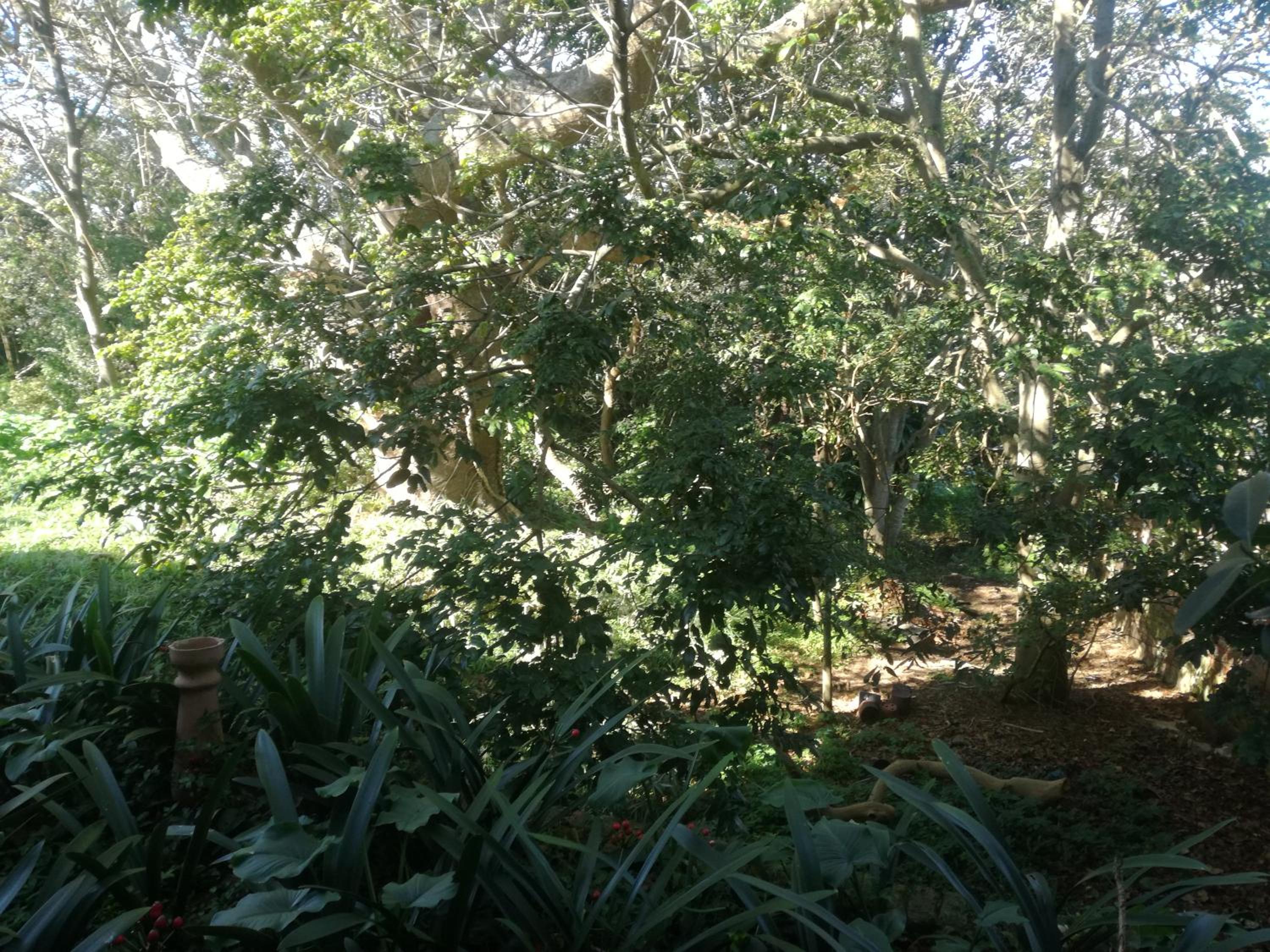Valley Guest House