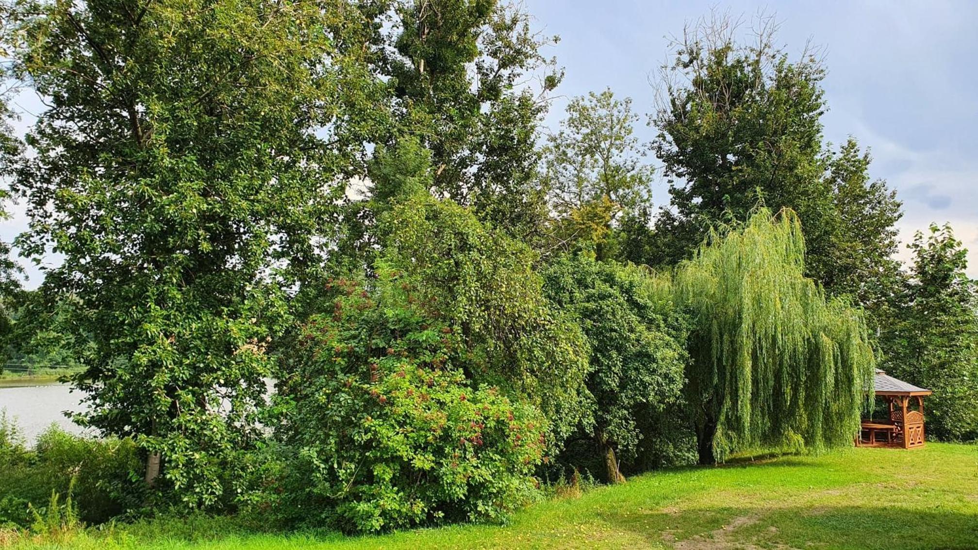 Photo 29
