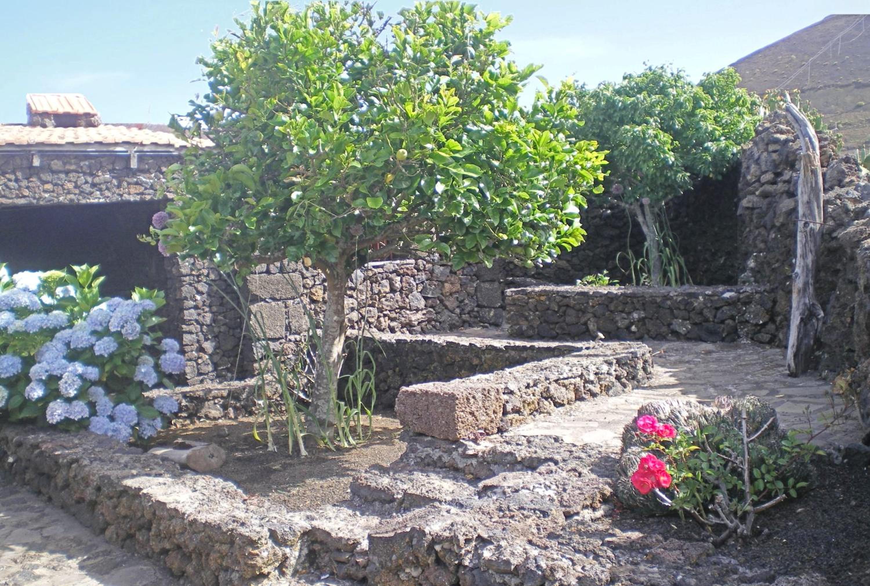 Photo 39