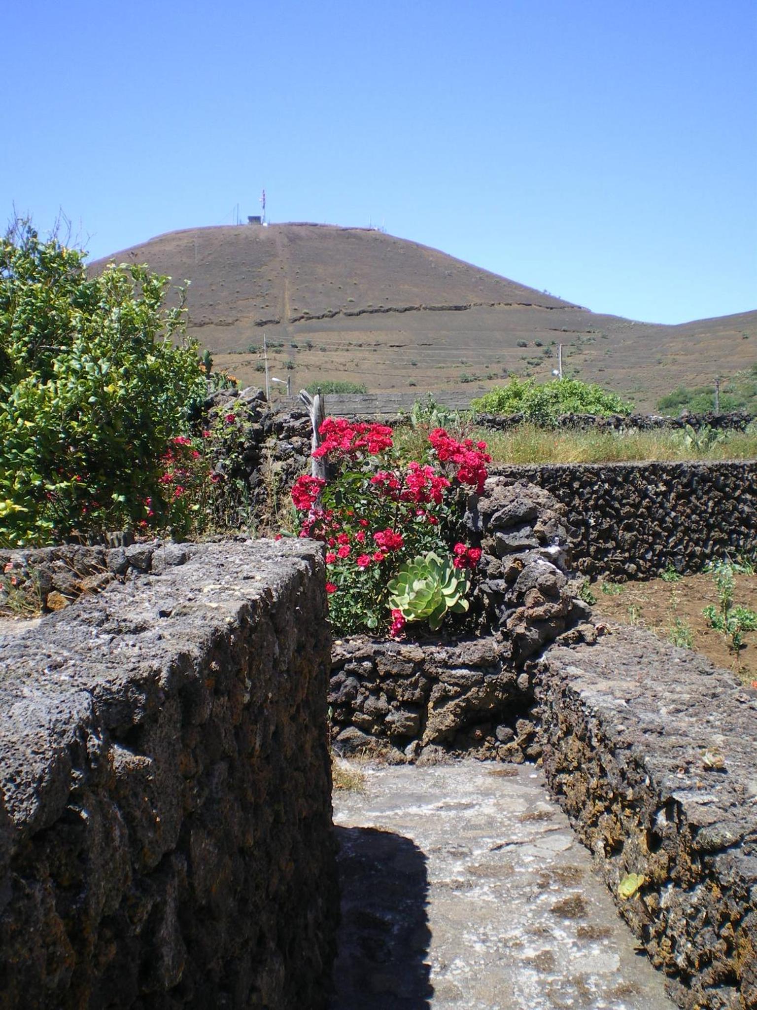 Photo 49