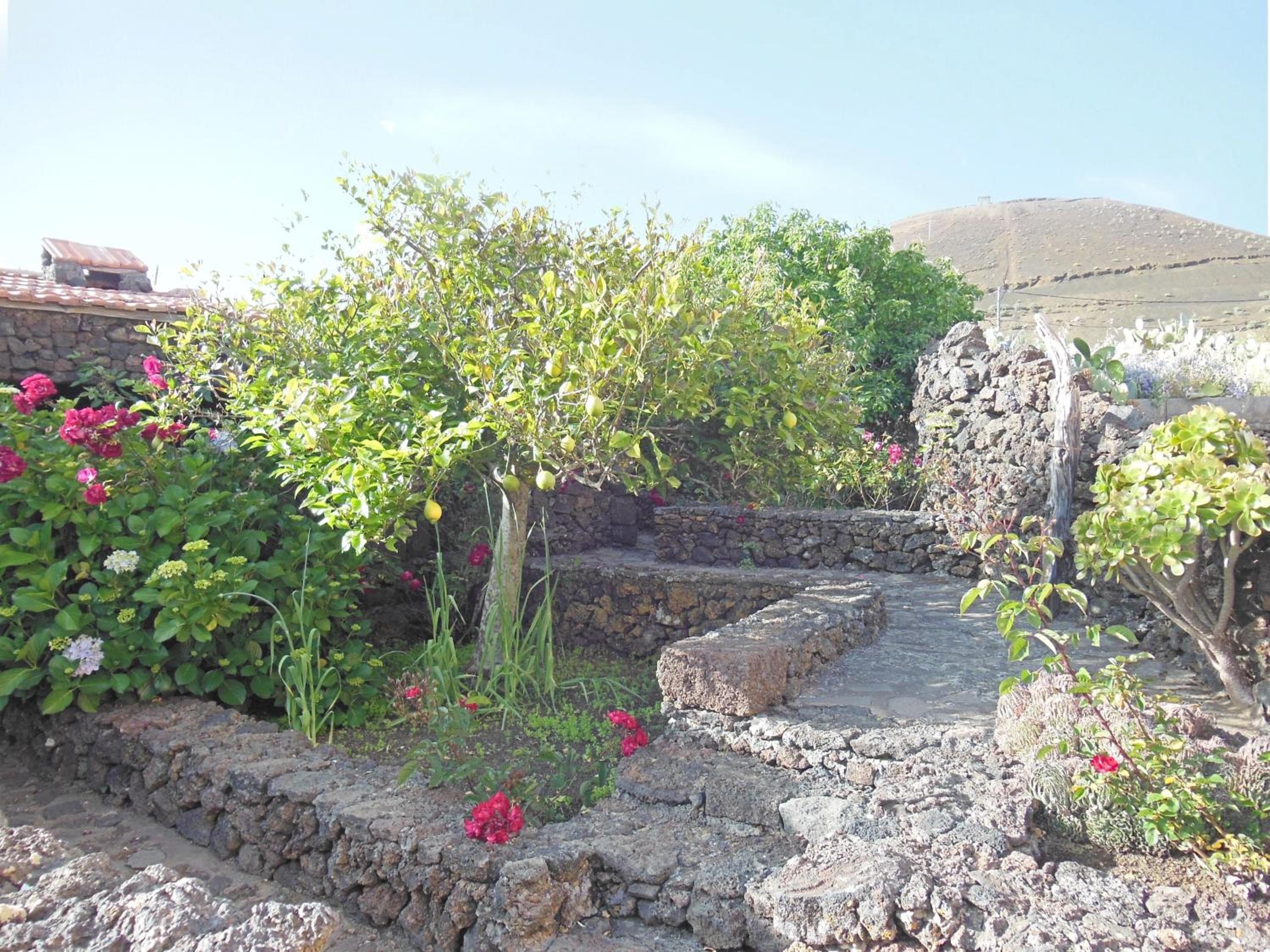 Photo 43