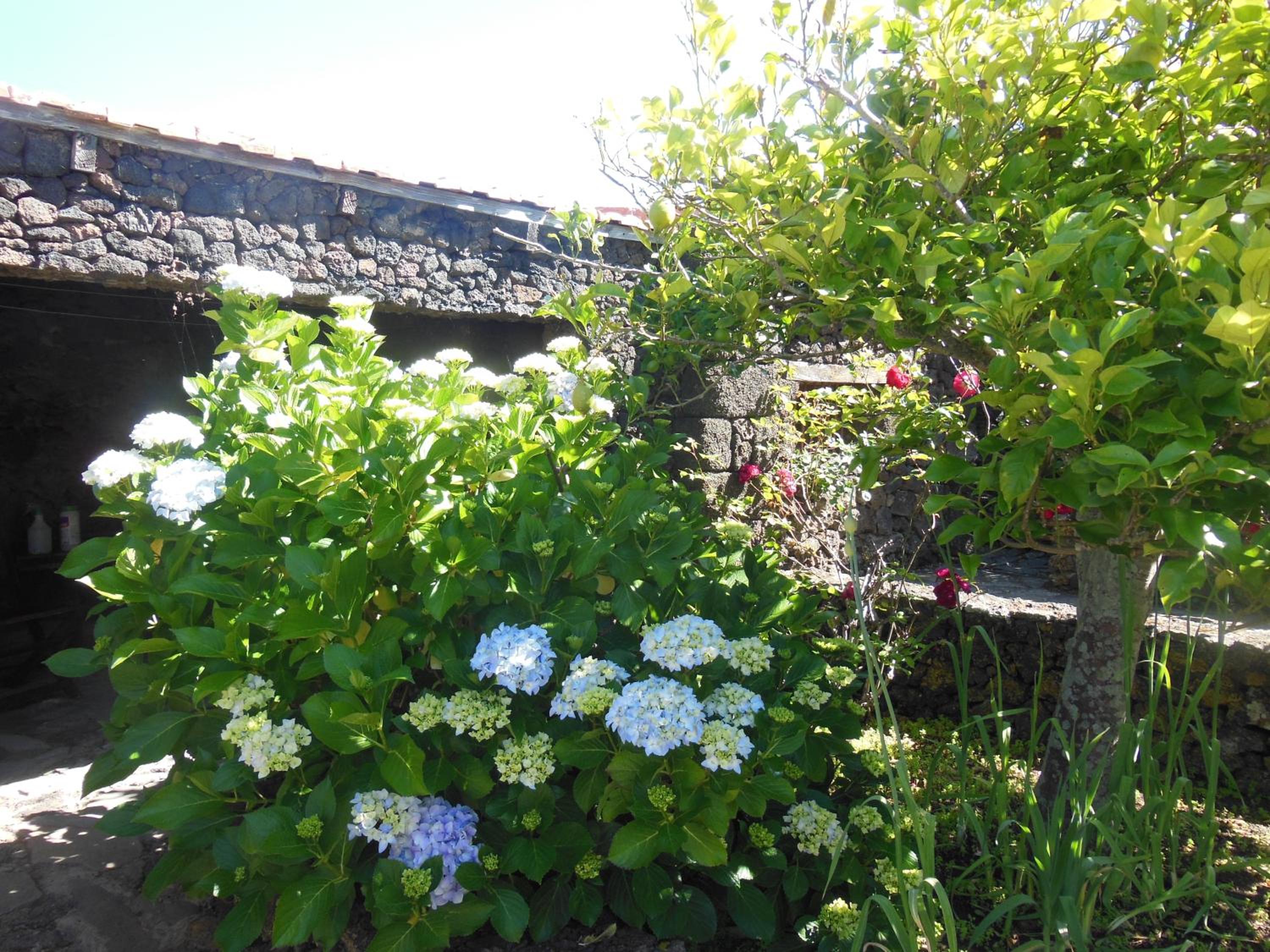 Photo 45