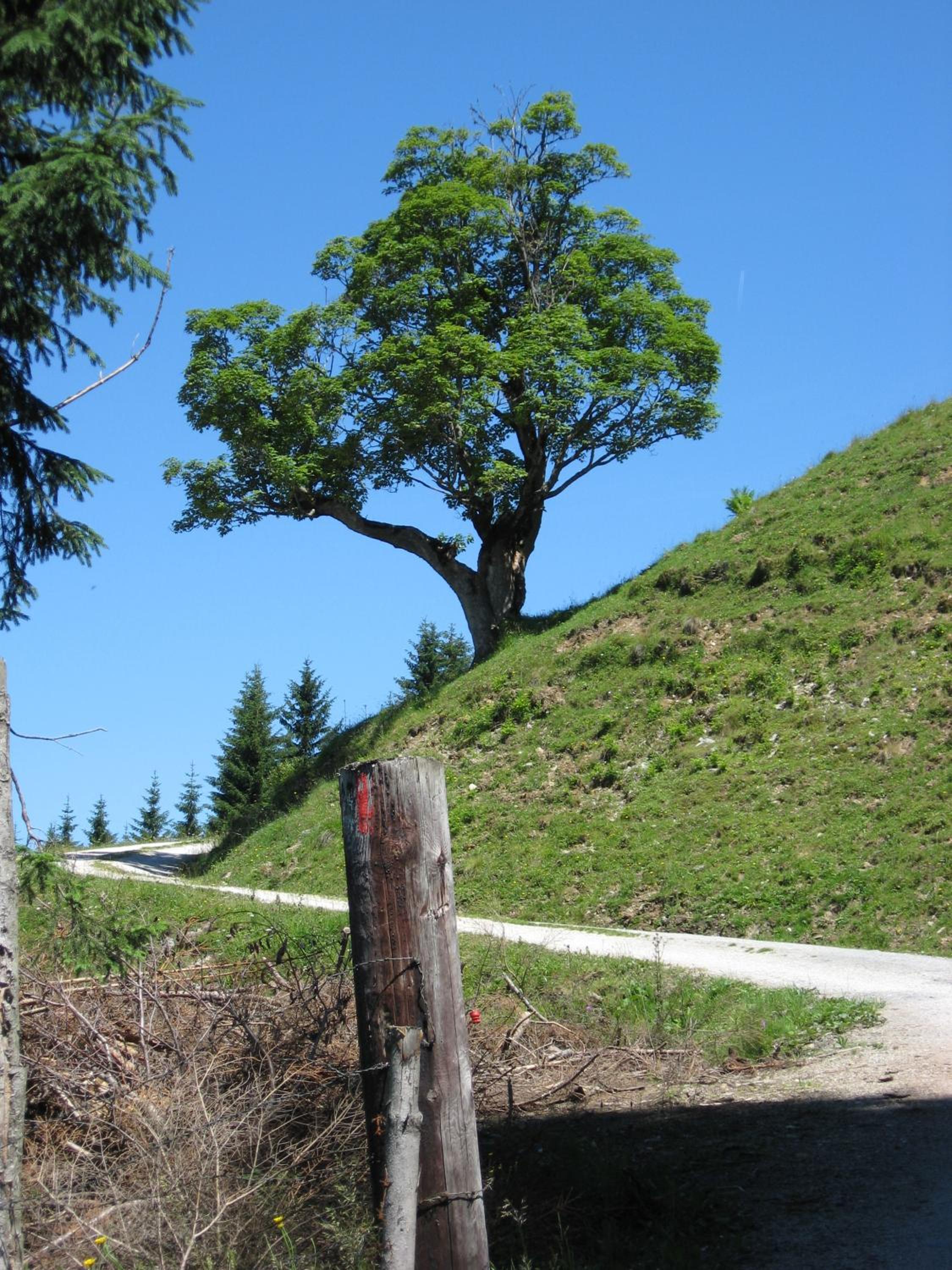Silber Lodge im Wiesenstein