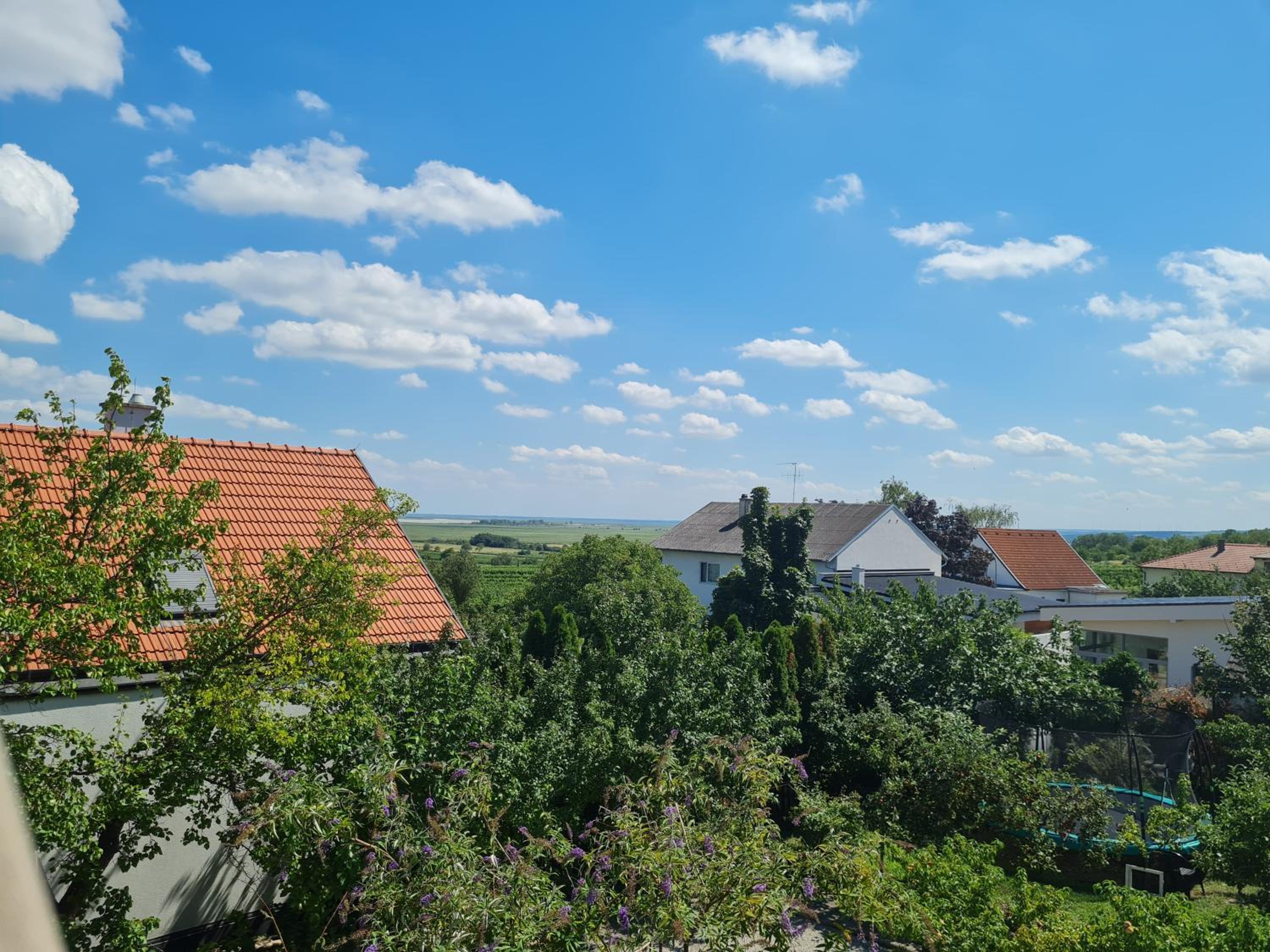 Ferienwohnungen Ödenburgerhof view 3
