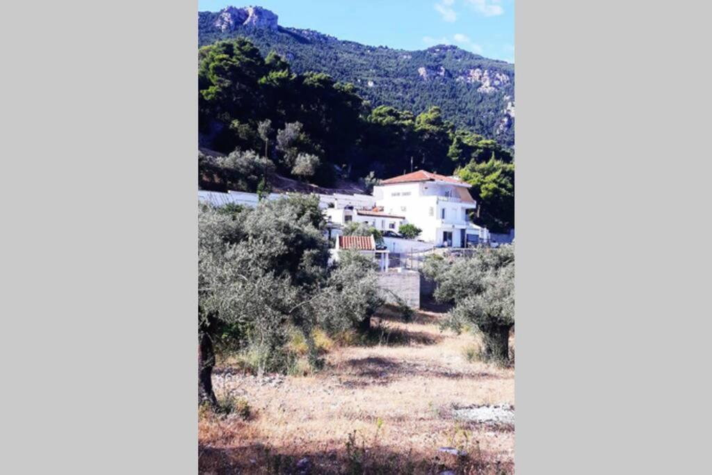 Photo 26