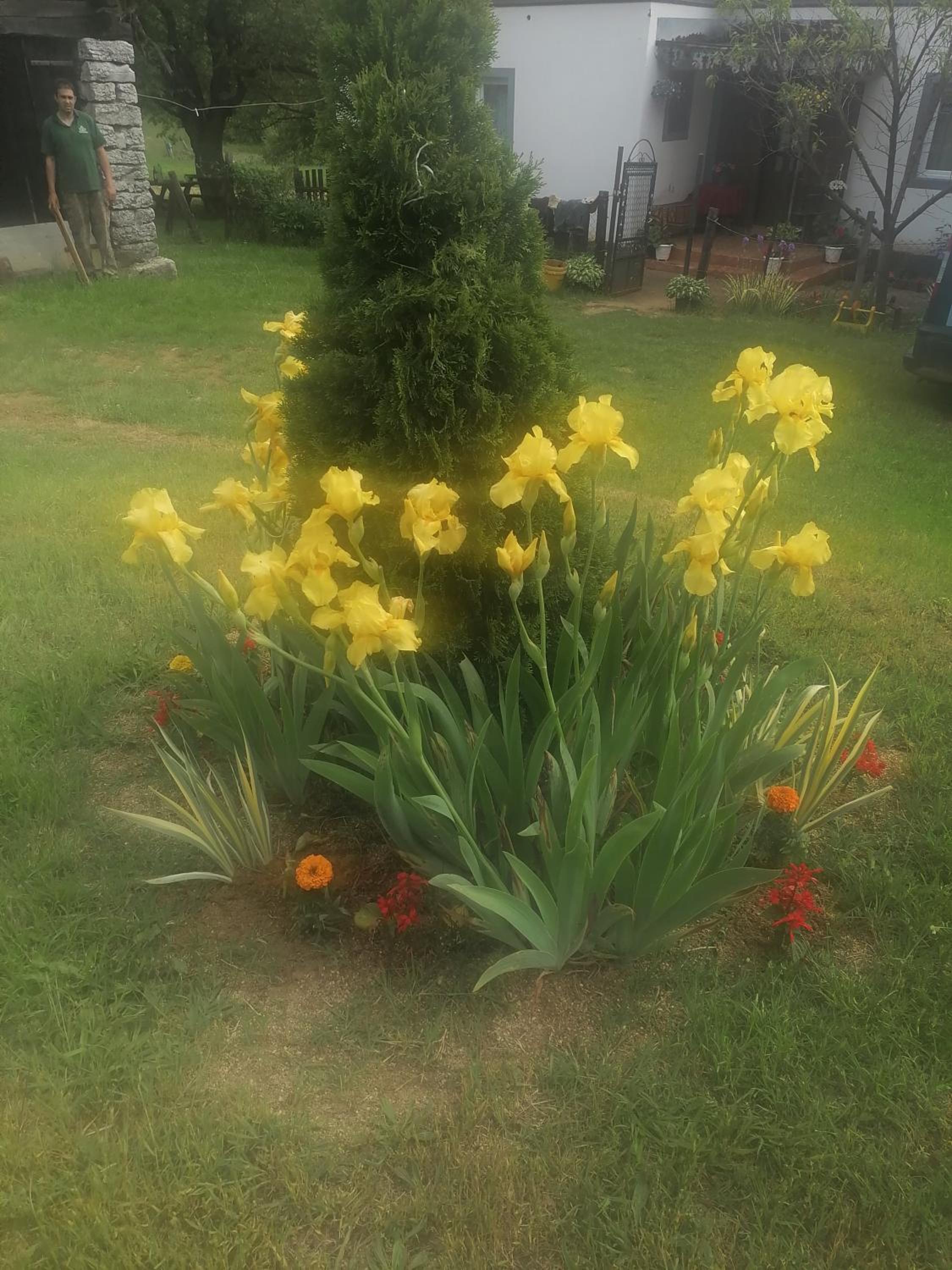 Photo 14