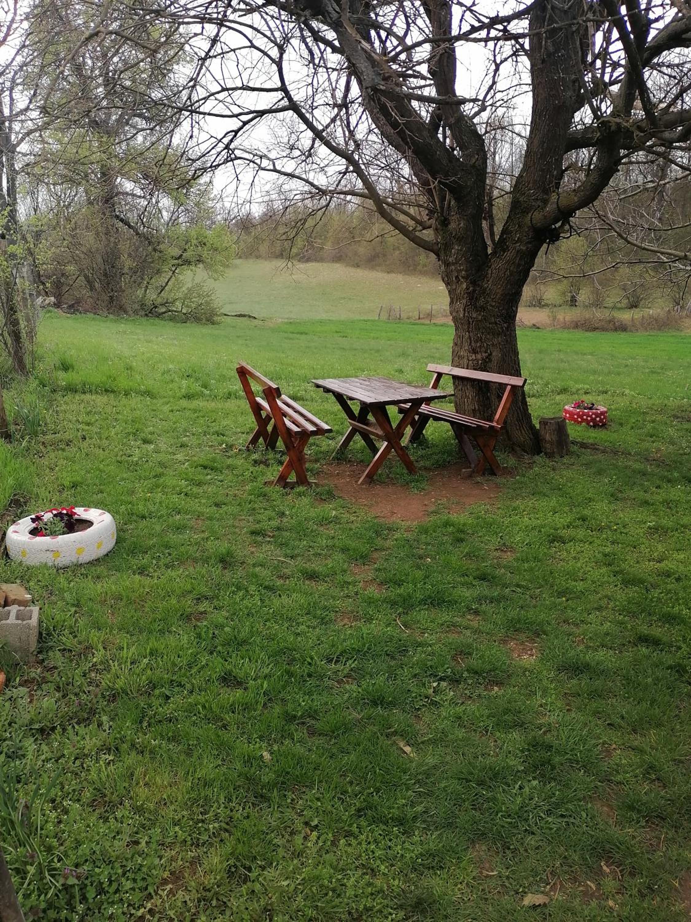 Photo 13