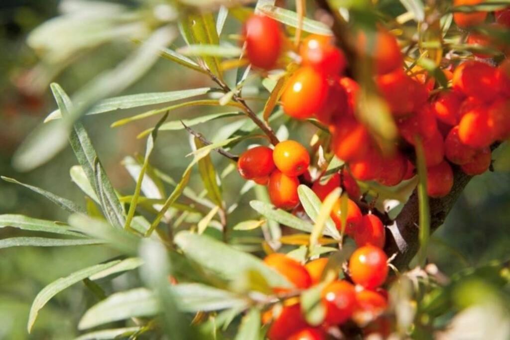 other