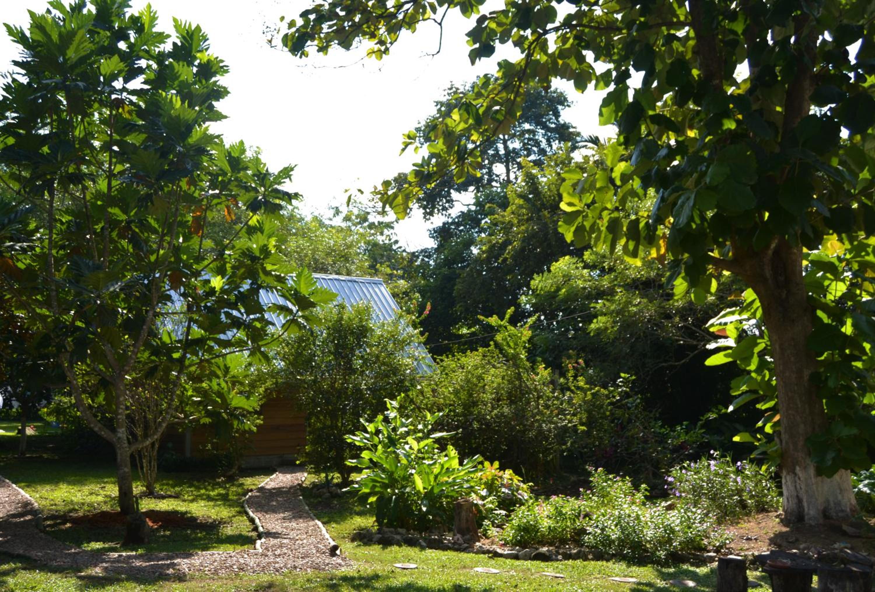 Licensed 2 bedroom cabin Close to San Ignacio, local dining, and adventure tours