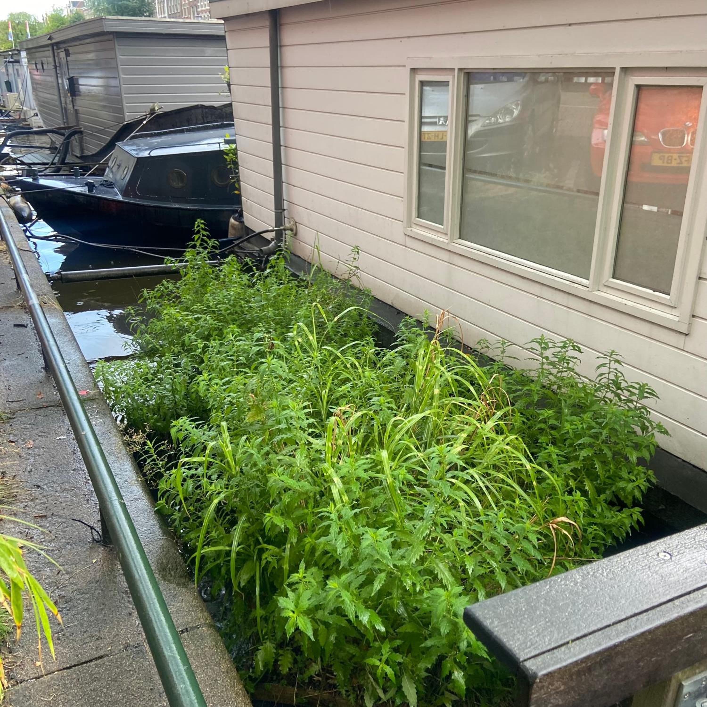 Houseboat Bonnie