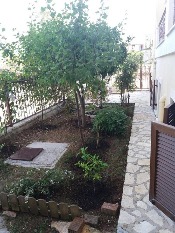 Photo 41