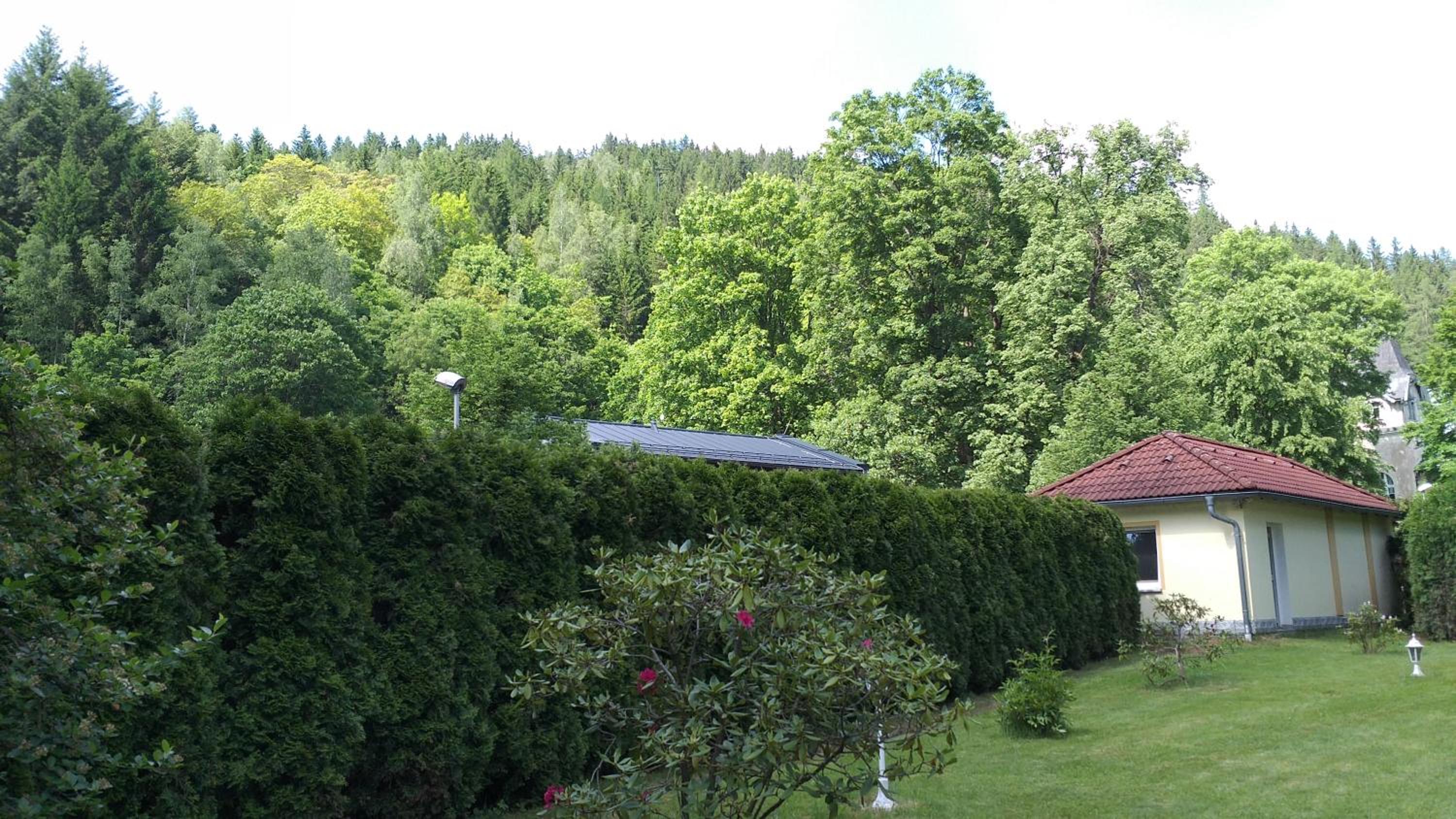 Photo 25