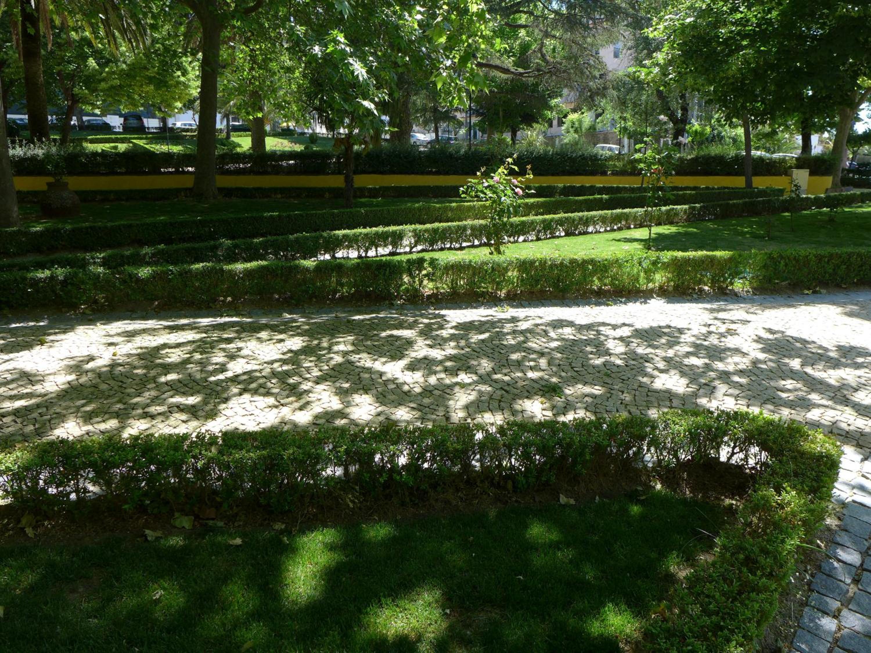 Photo 42
