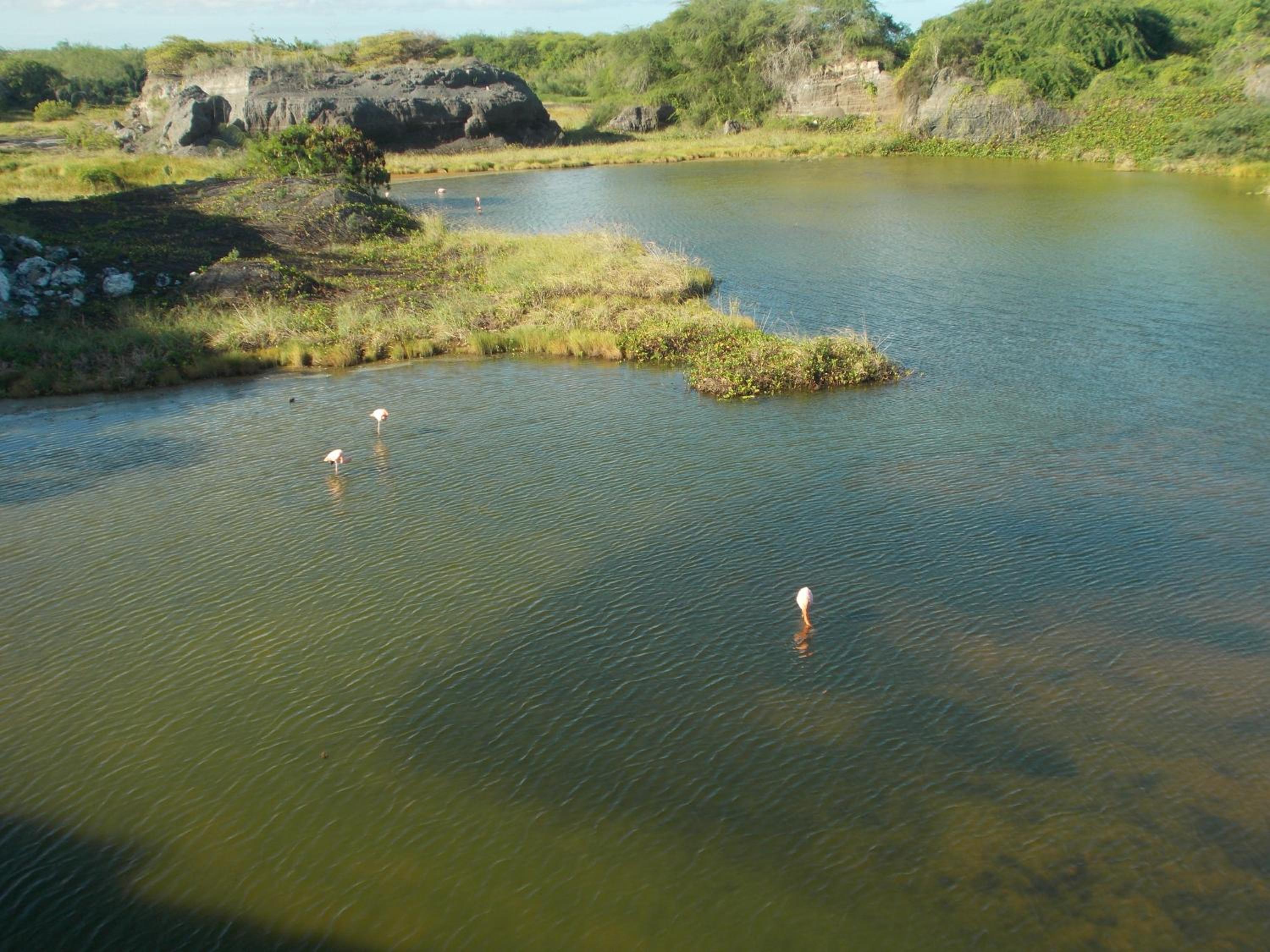 Paraiso de Isabela