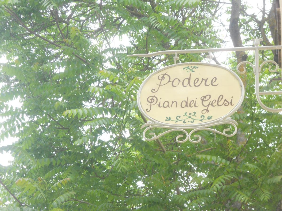 Podere Pian dei Gelsi view 4