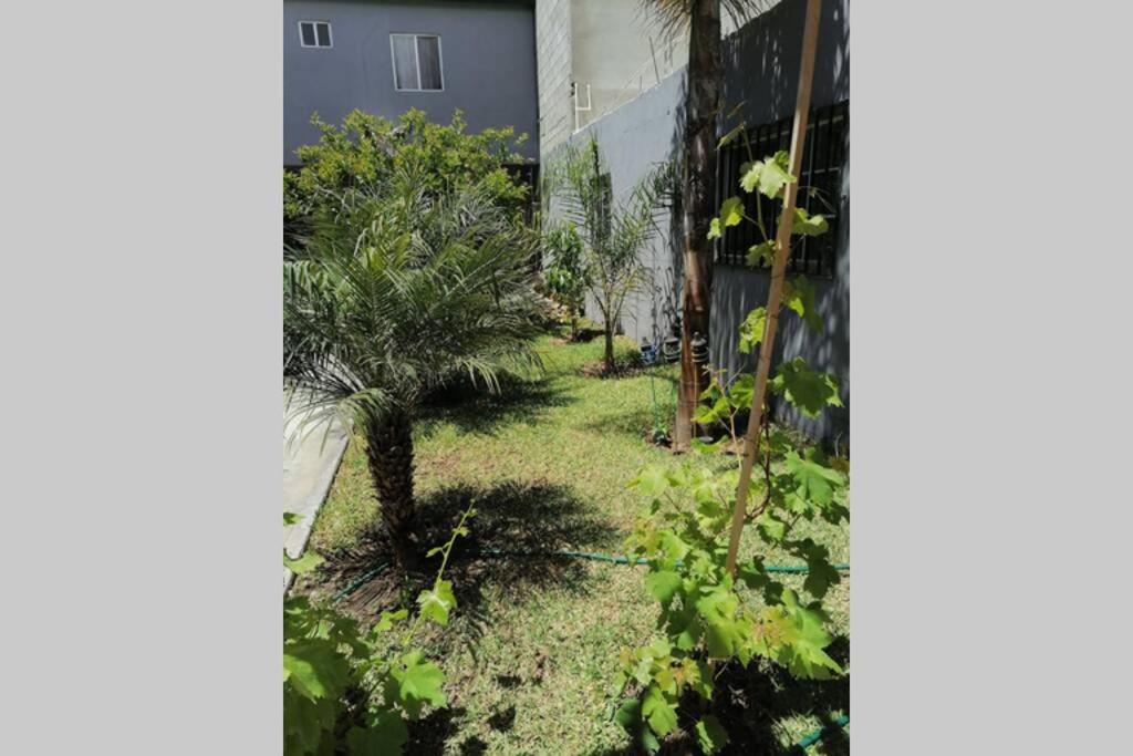 Departamento las palmas view 3