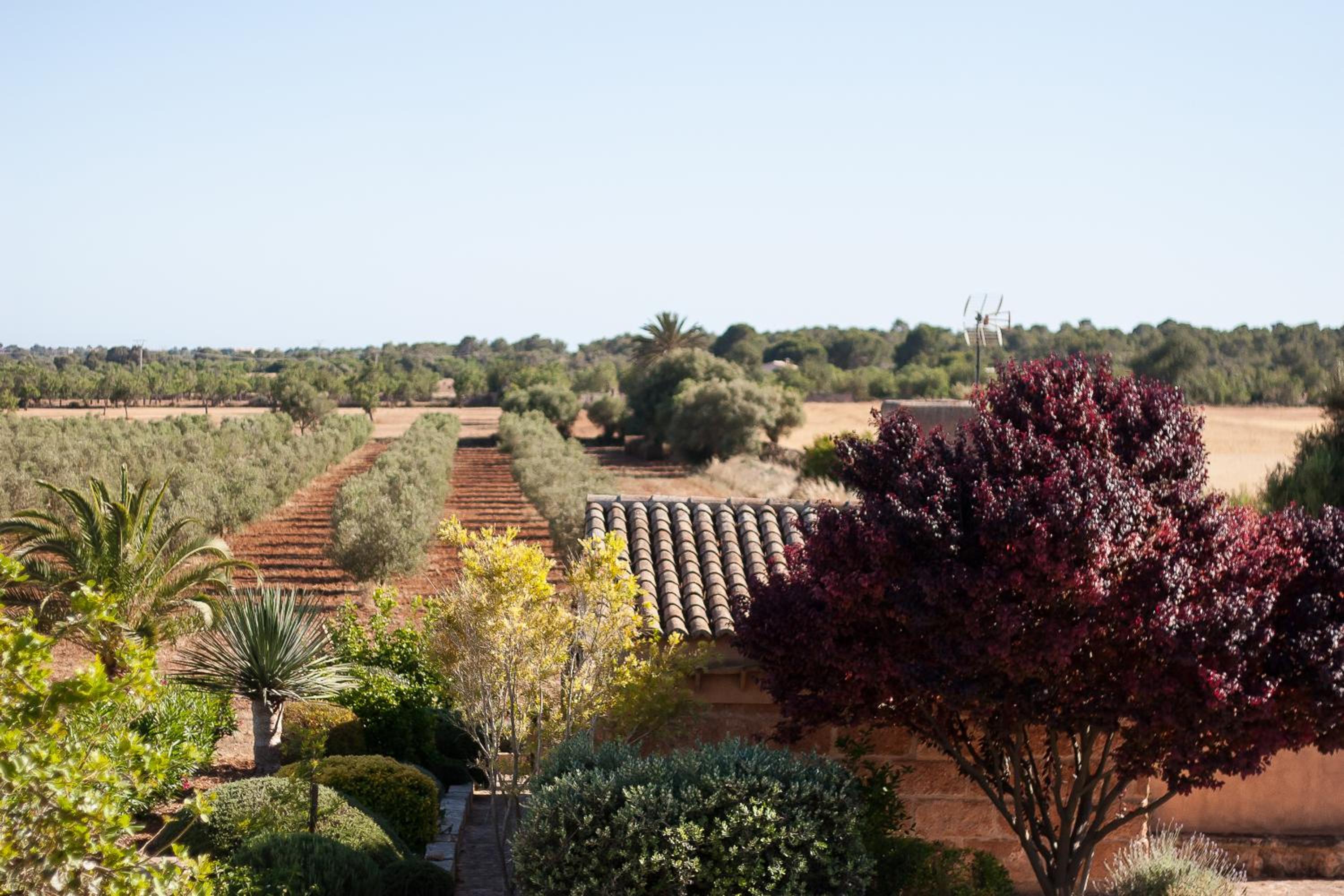 Finca Agroturismo Can Carro