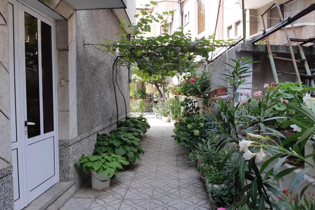 Top floor apartment in the Center of Pomorie