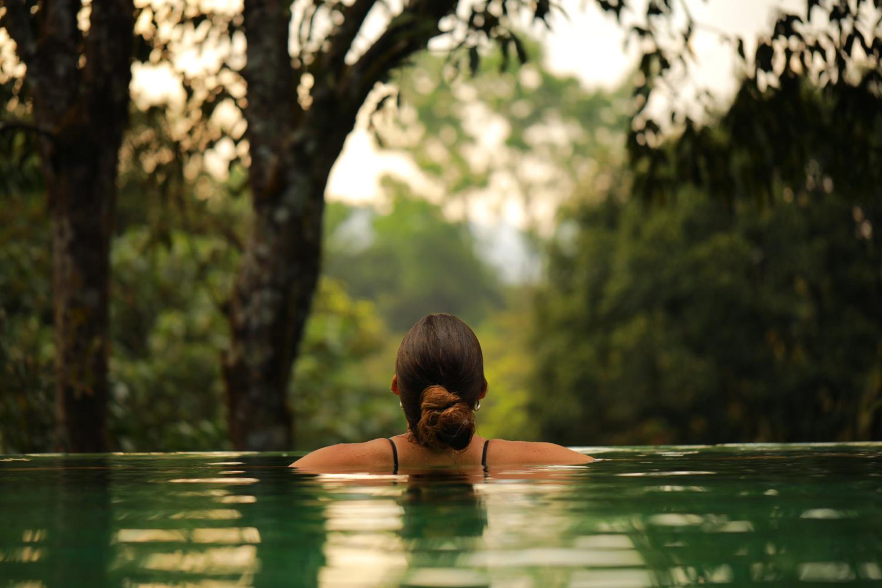 Wayanad Wild - A CGH Earth Experience