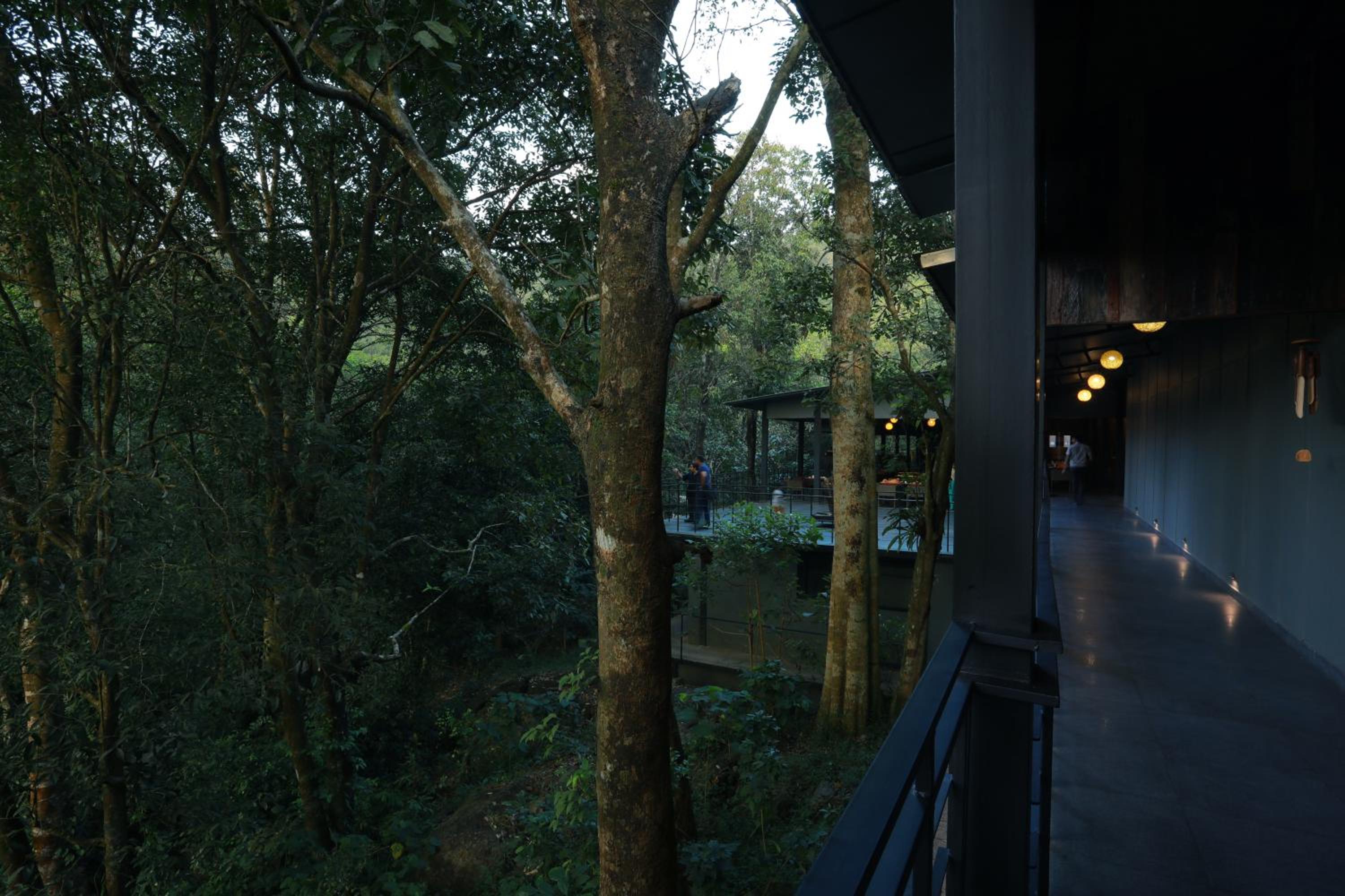 Wayanad Wild - A CGH Earth Experience