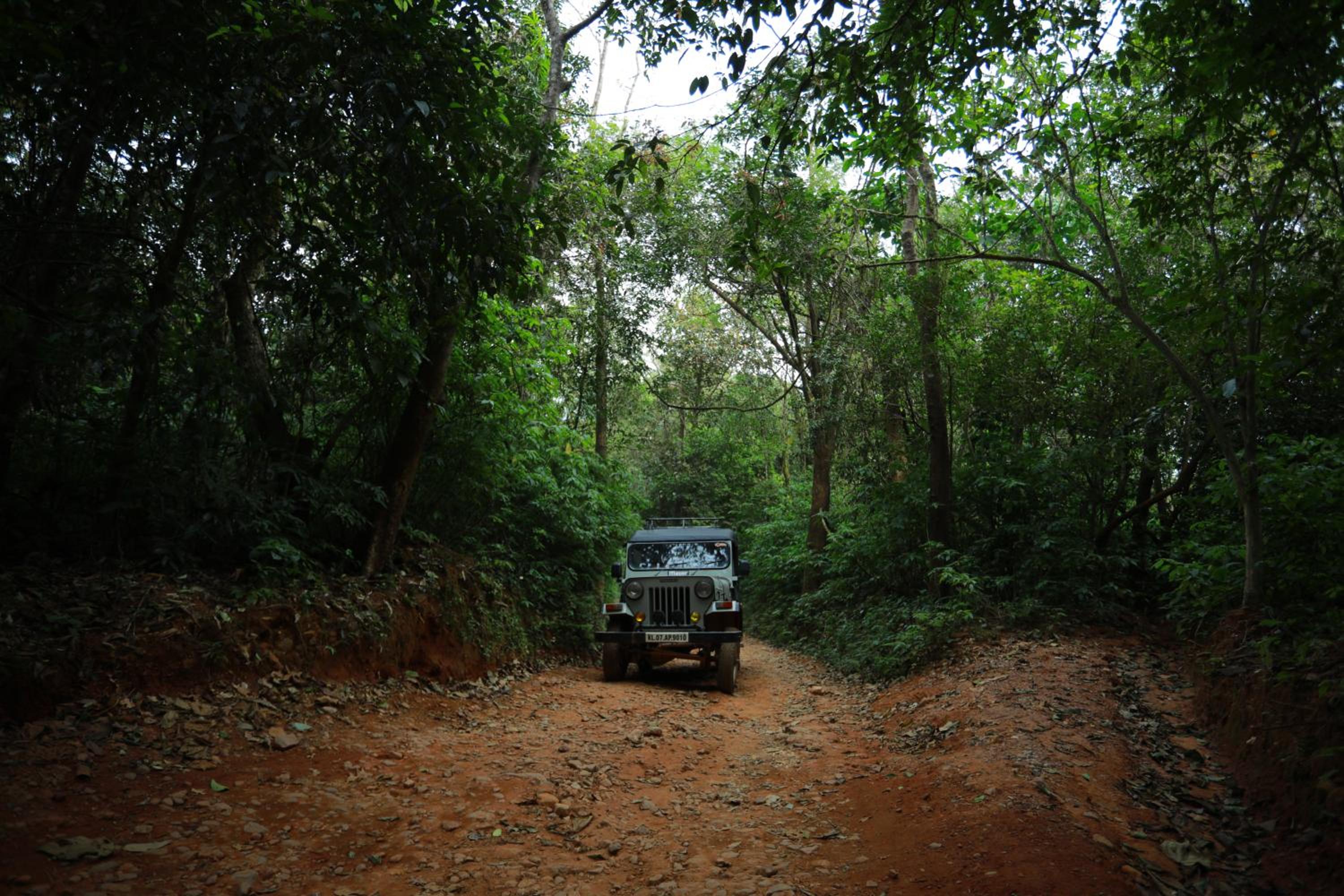 Wayanad Wild - A CGH Earth Experience