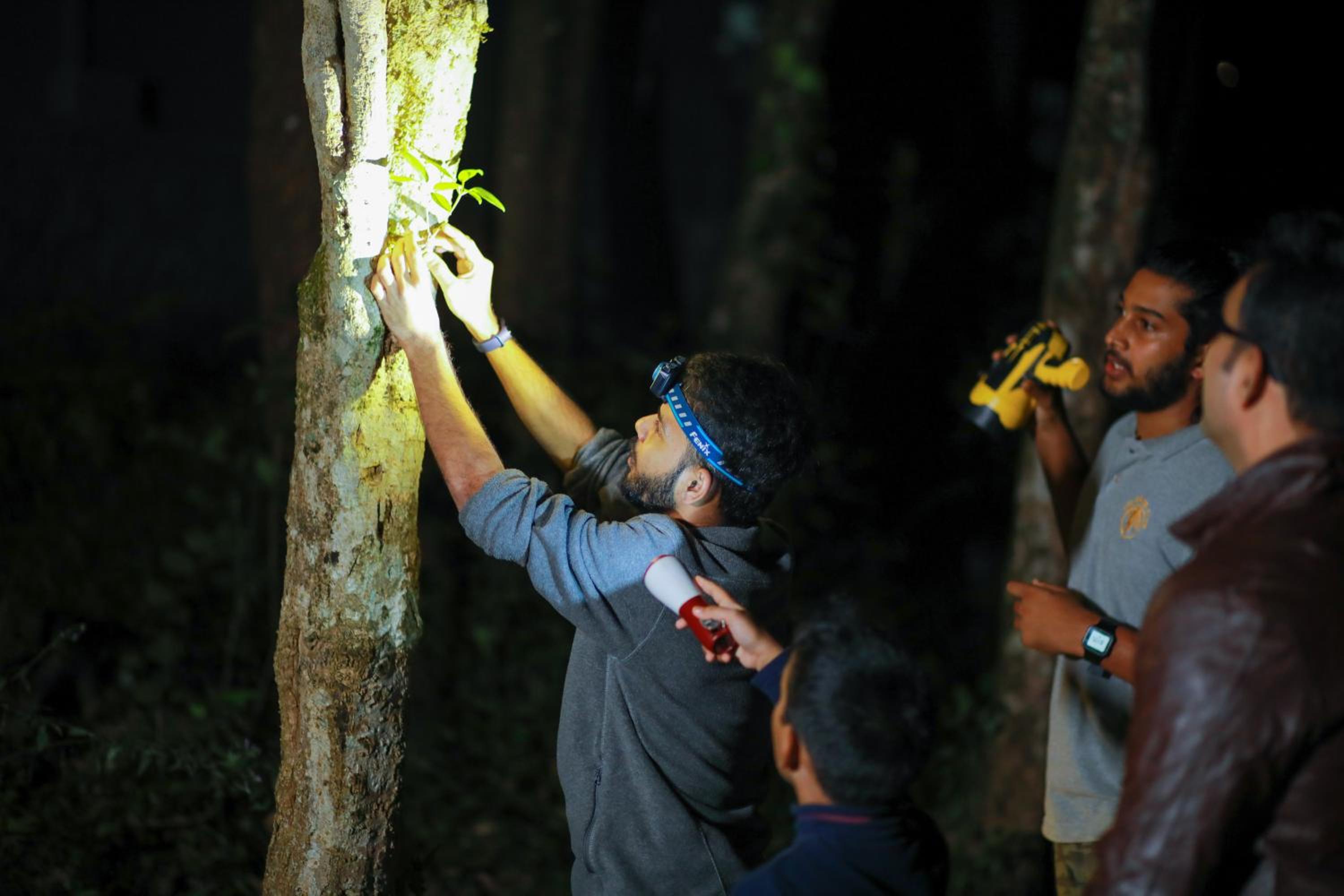 Wayanad Wild - A CGH Earth Experience