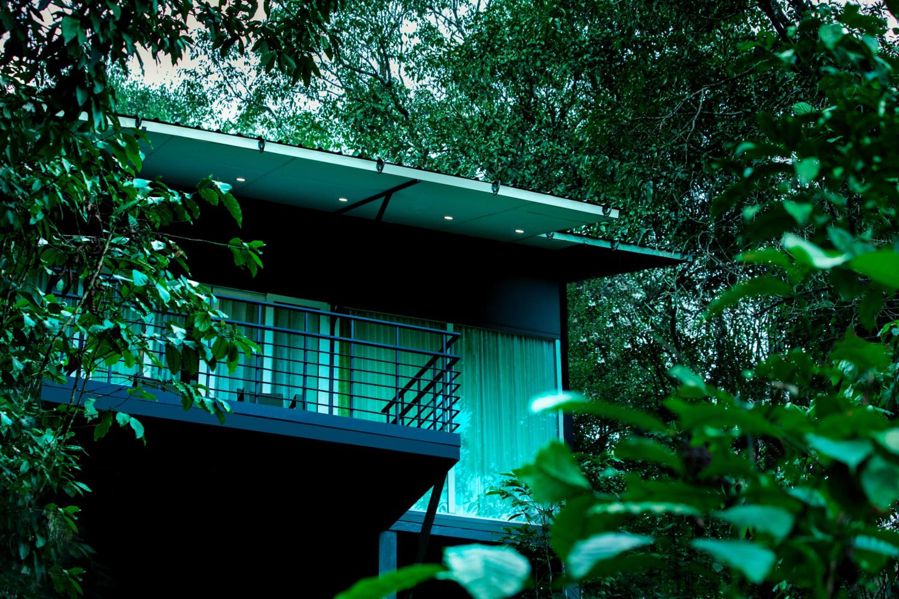 Wayanad Wild - A CGH Earth Experience