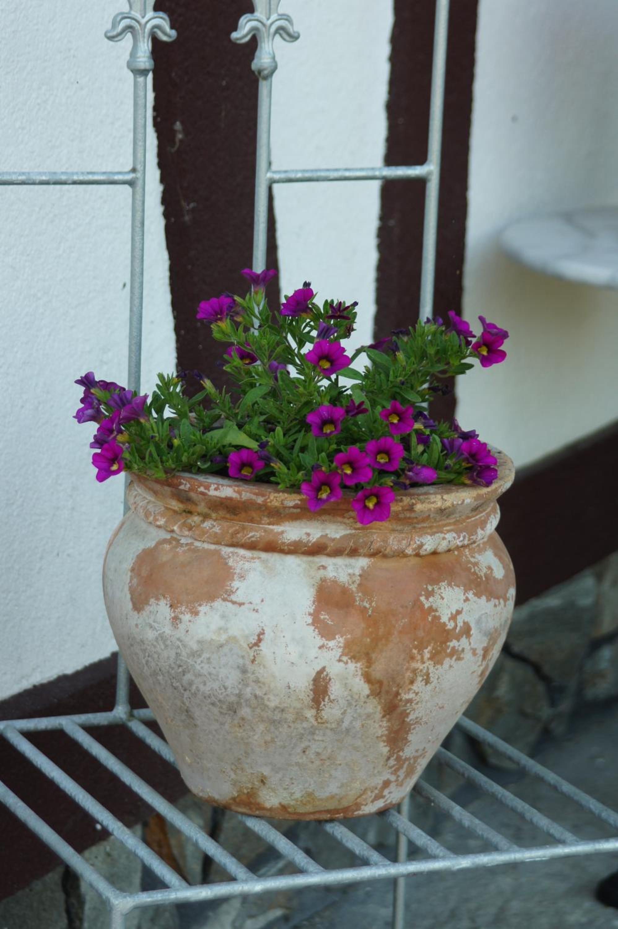 Photo 45