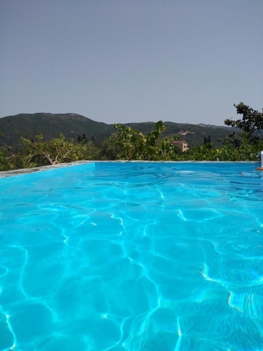 Apartment with Private Pool for Rent in Tzanata Kefalonia photo 4