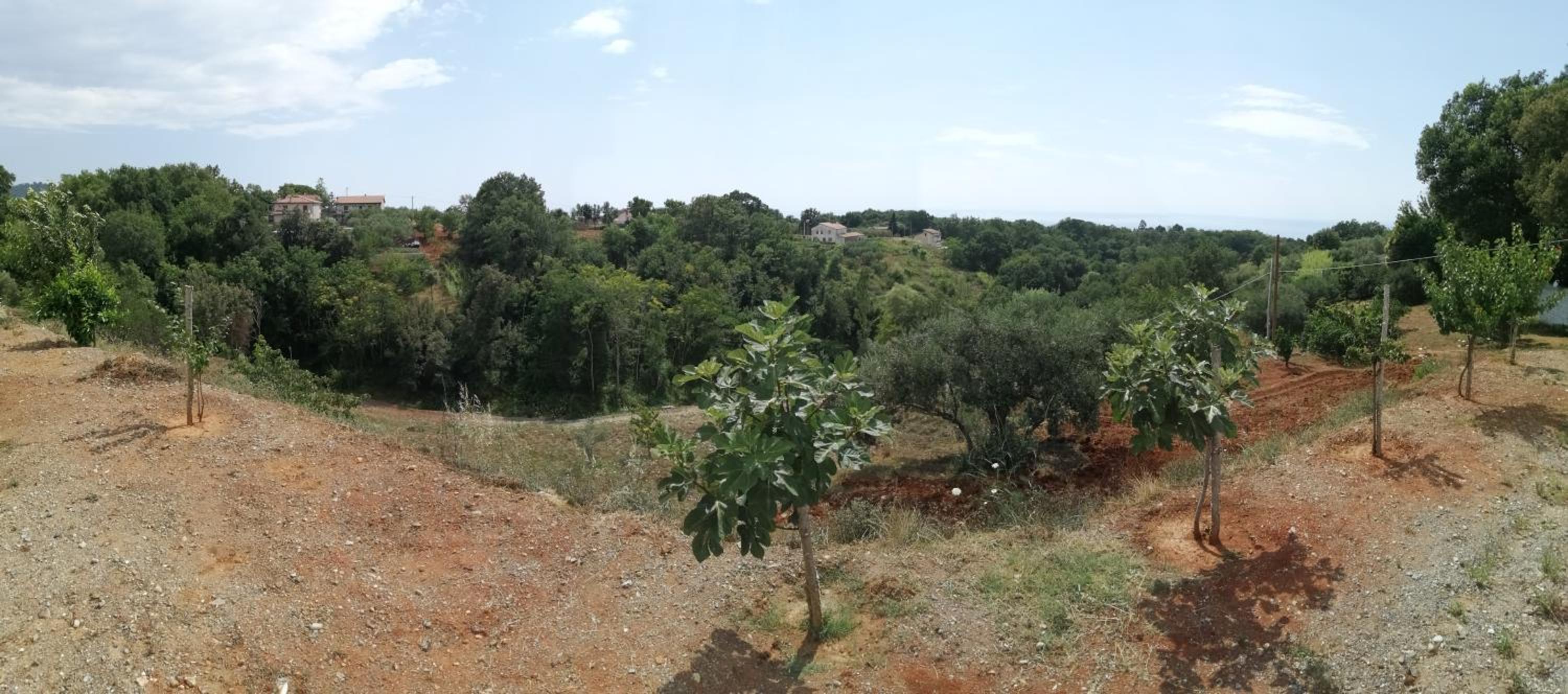 B&B Nonno Pino view 4