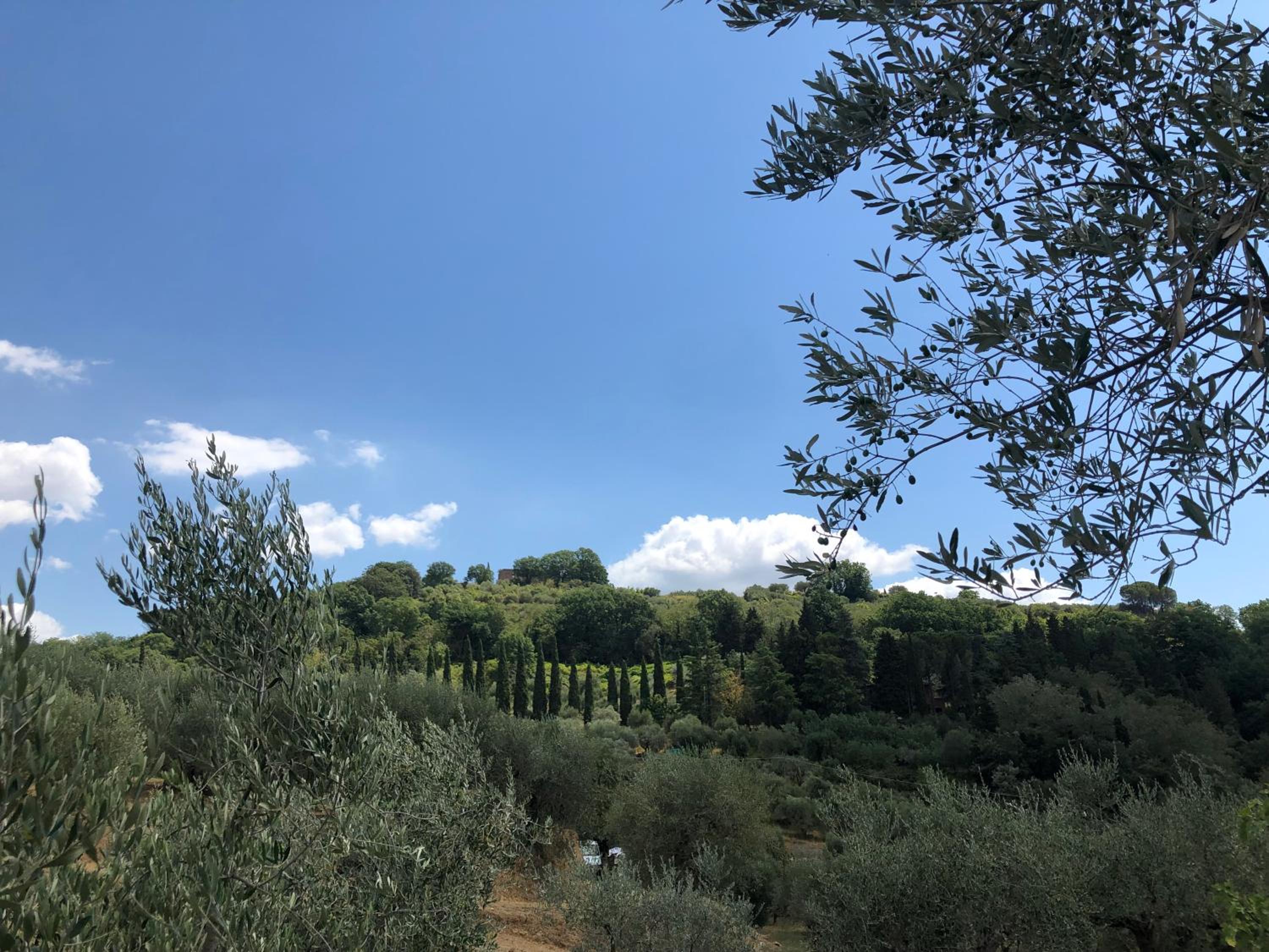 Montevenere 83