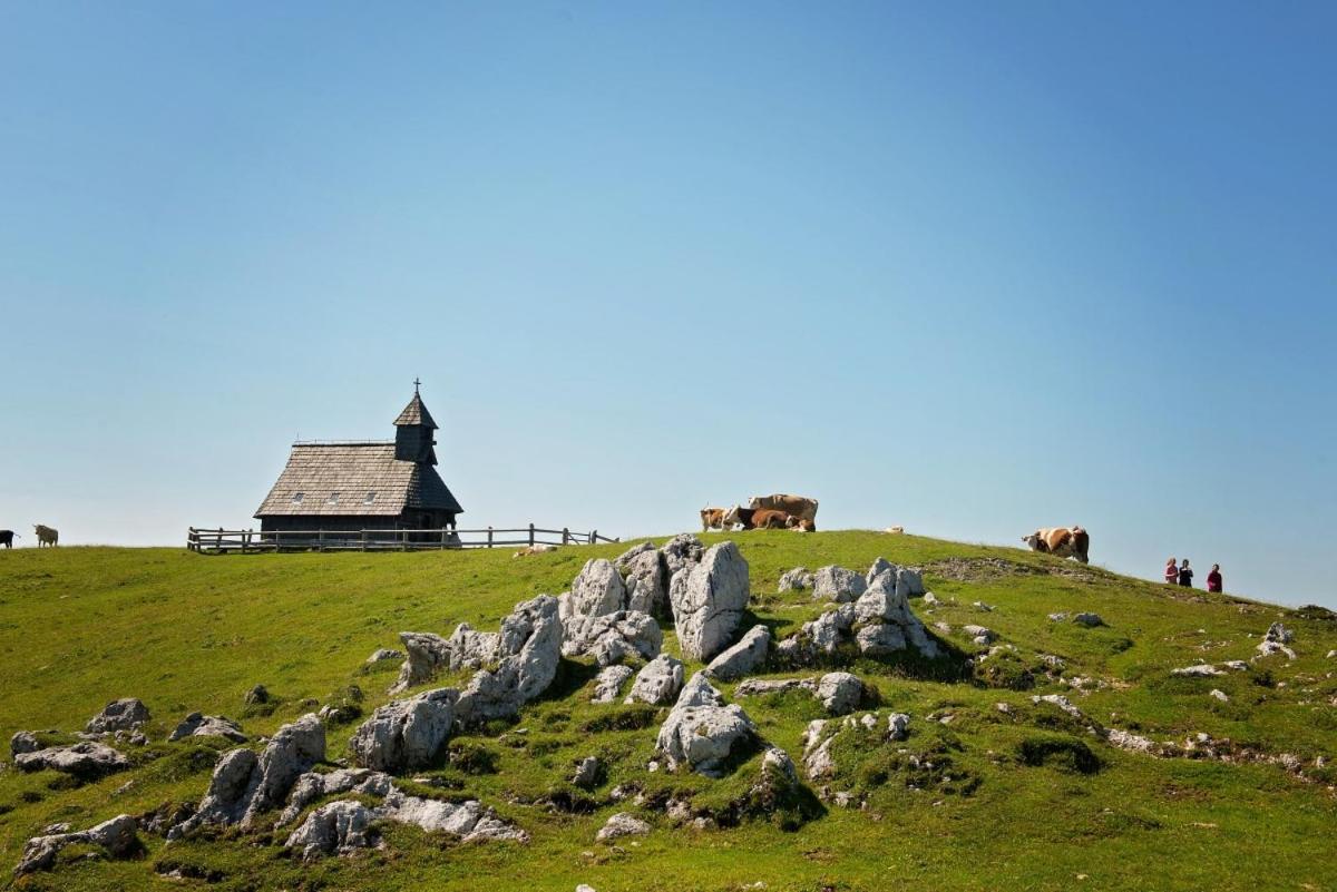 Koča Predilnica Velika Planina view 2