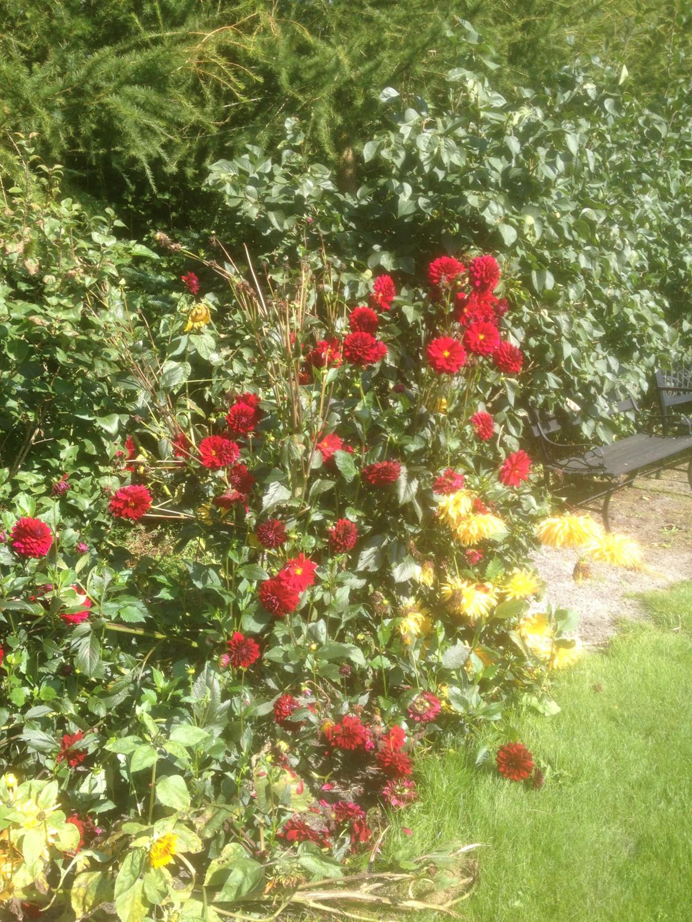 Photo 22