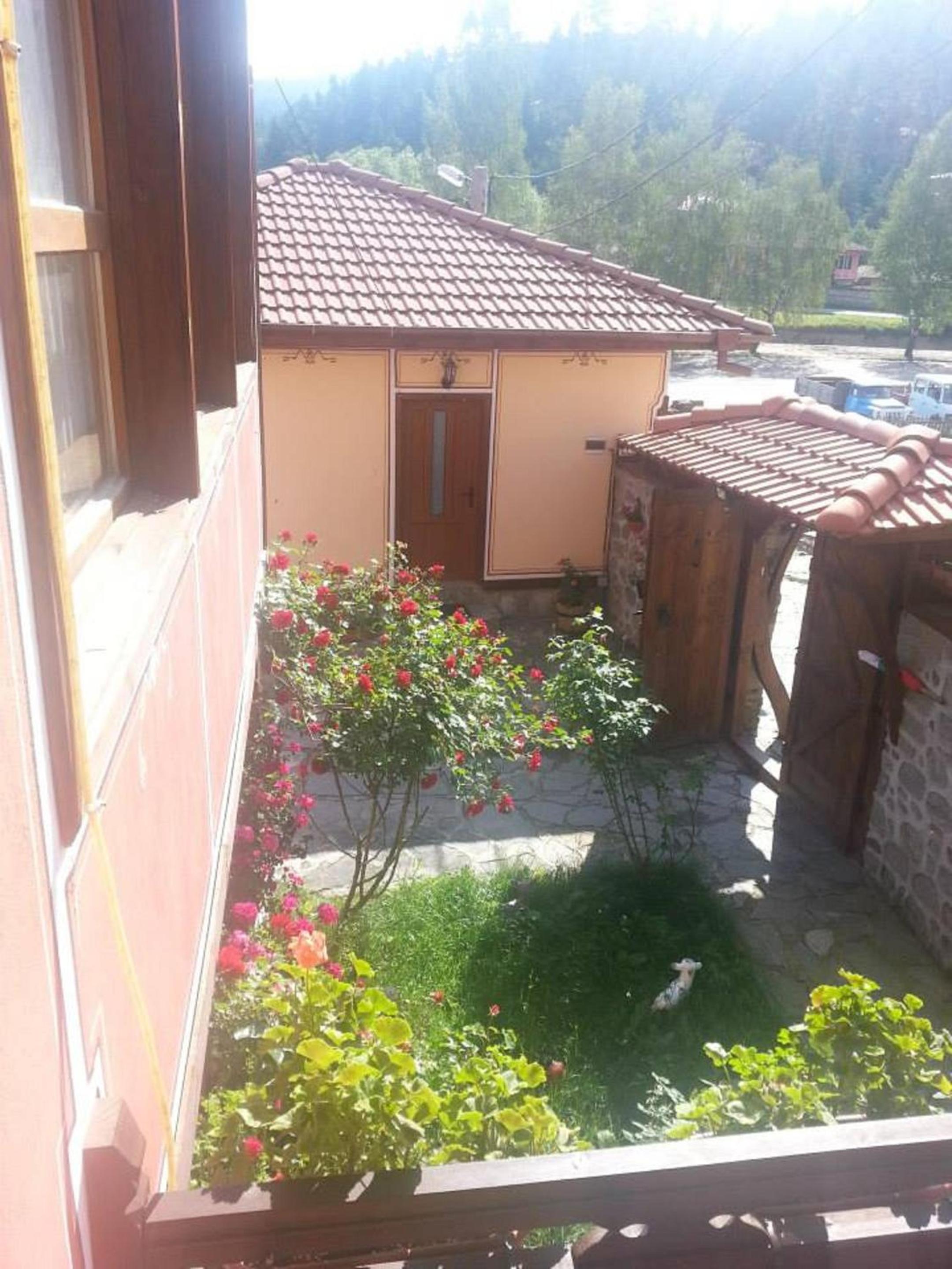Denis Guest house
