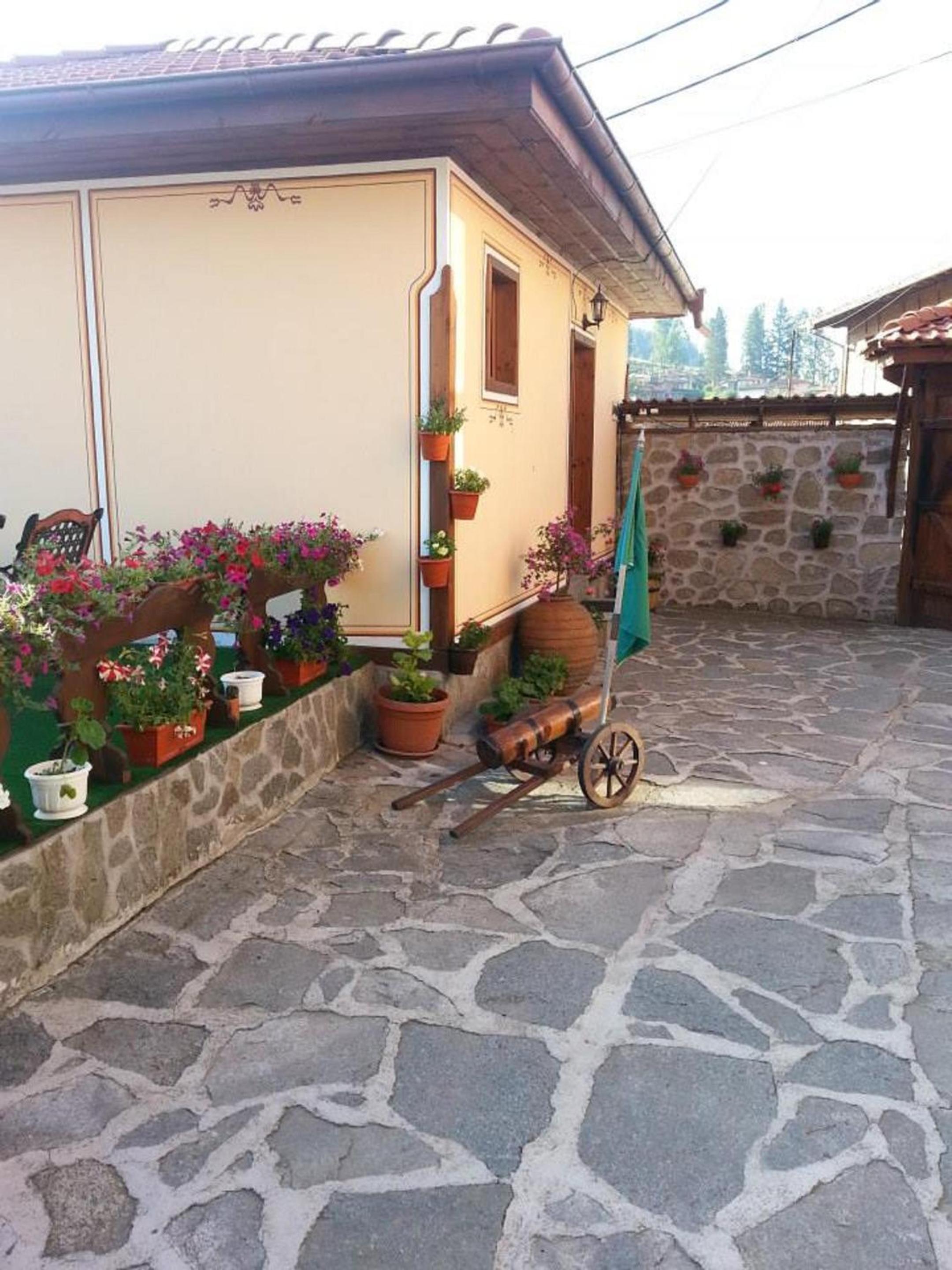 Denis Guest house