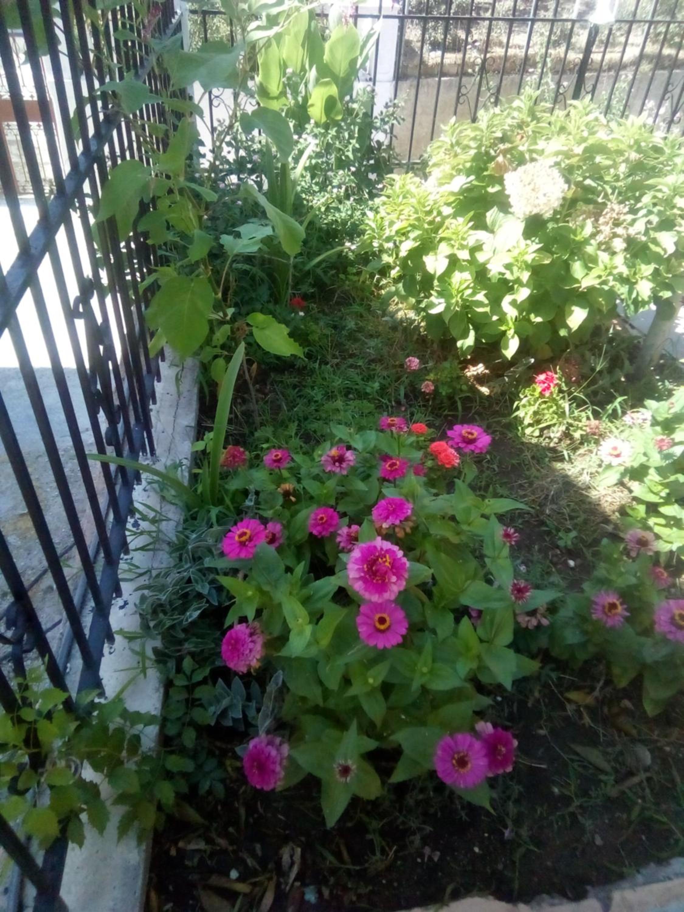 Photo 24