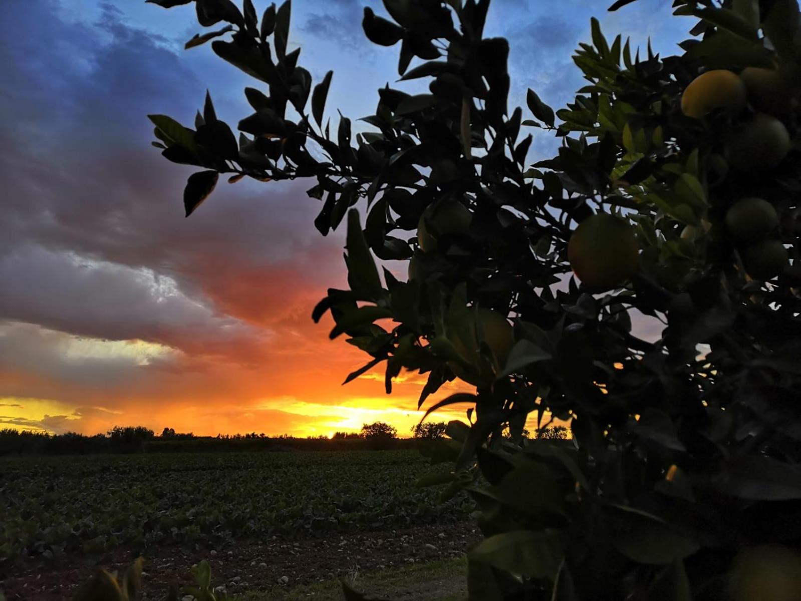 Angelo's Country House view 5