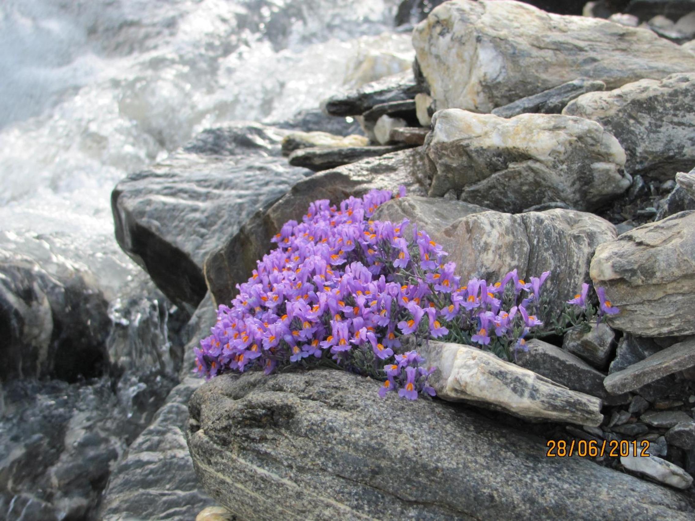 Photo 33
