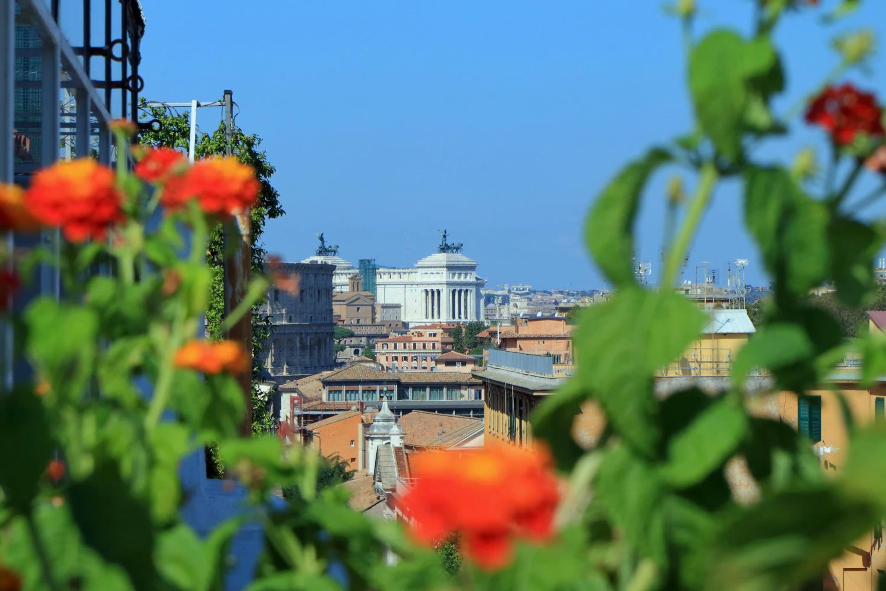 Bellezza Al Colosseo - B&B & Apts