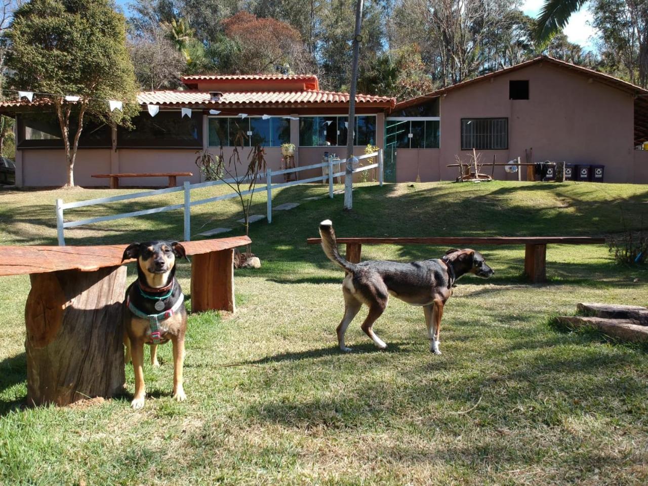 Recanto dos Passaros