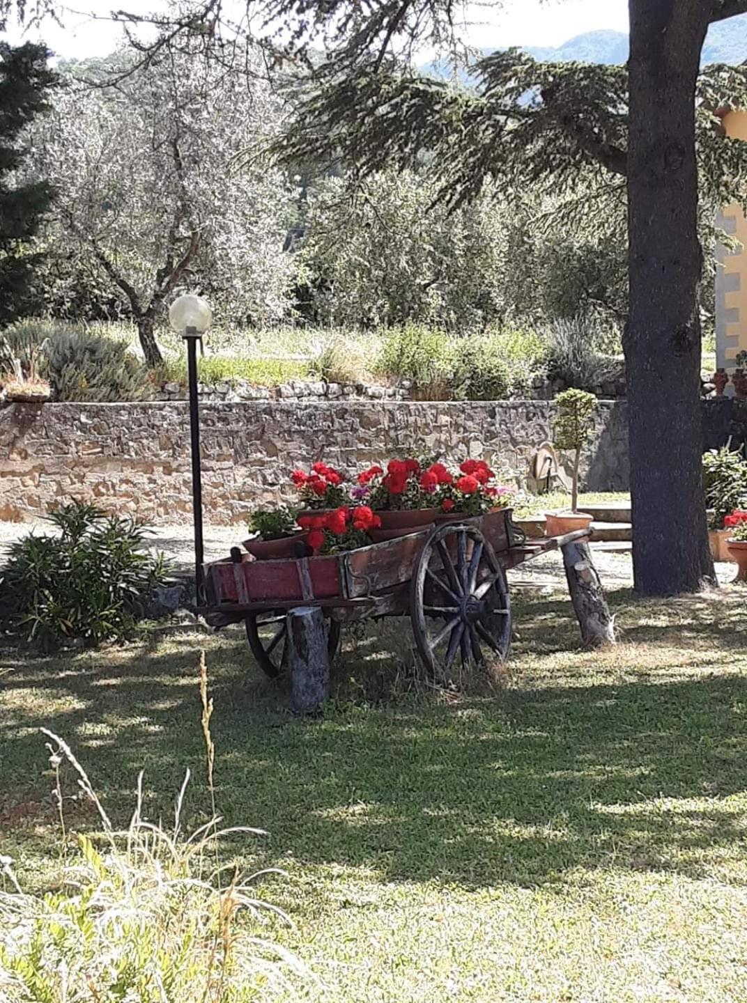 Agrifarm la Corte view 2