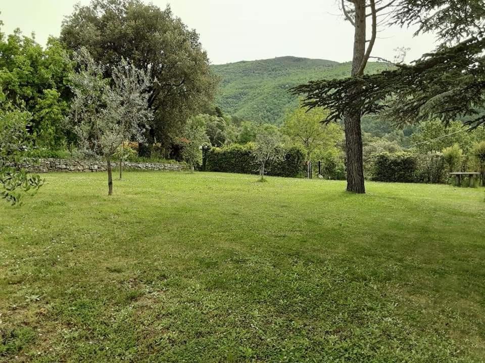 Agrifarm la Corte view 3