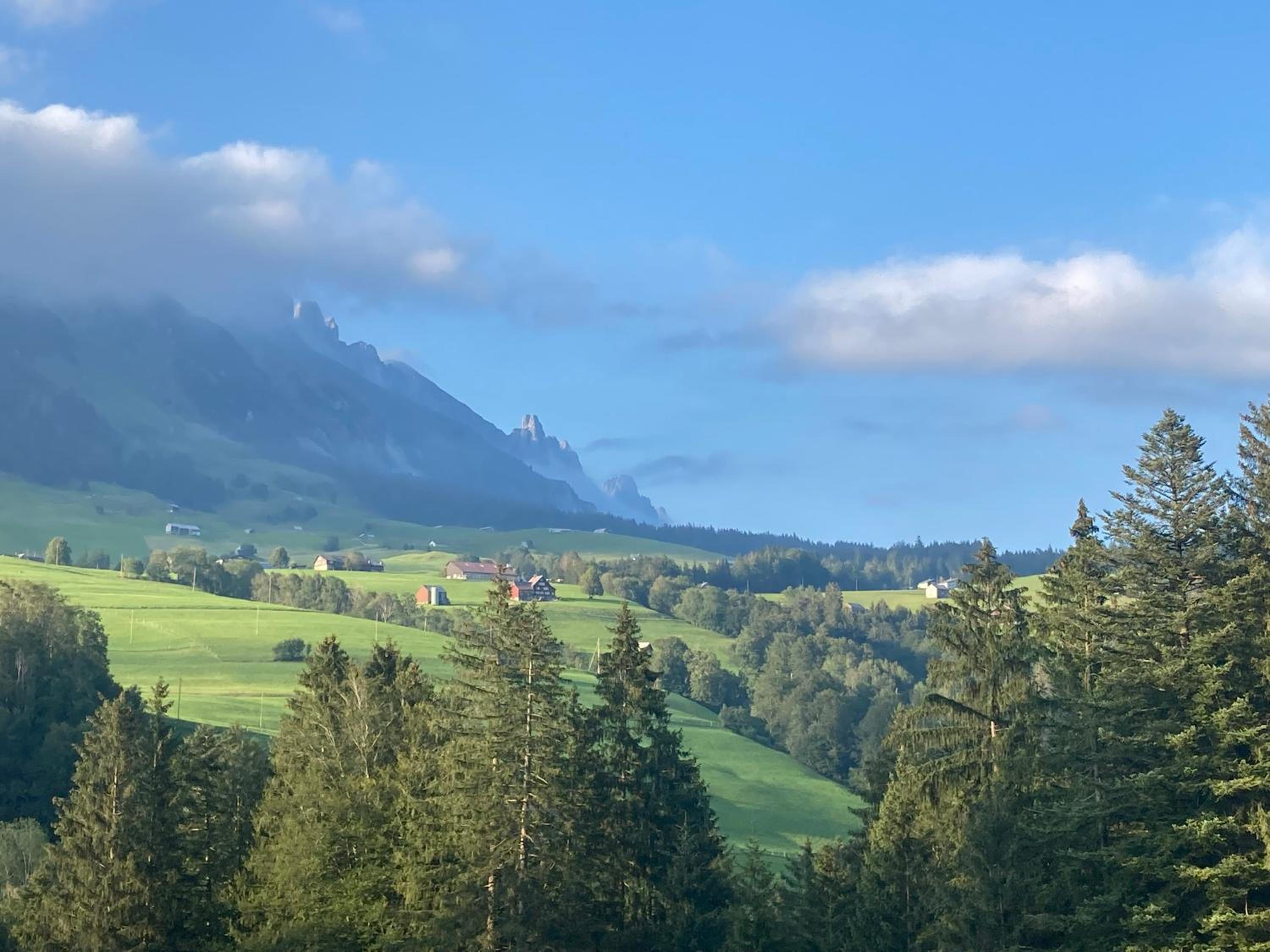 Ferienwohnung Haus am Bach in Toggenburg