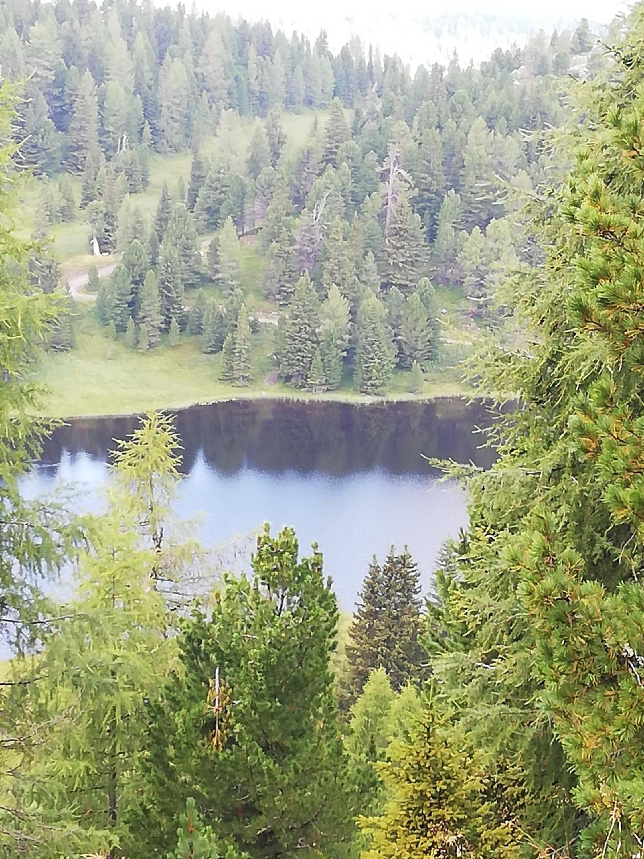 Photo 18